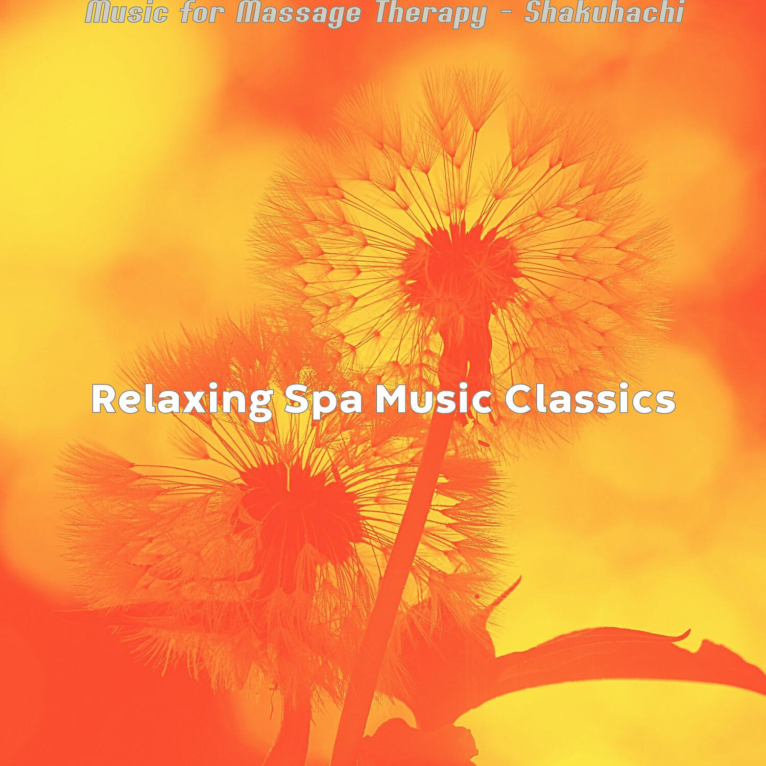 Relaxing Spa Music Classics - Lively Massage Therapy