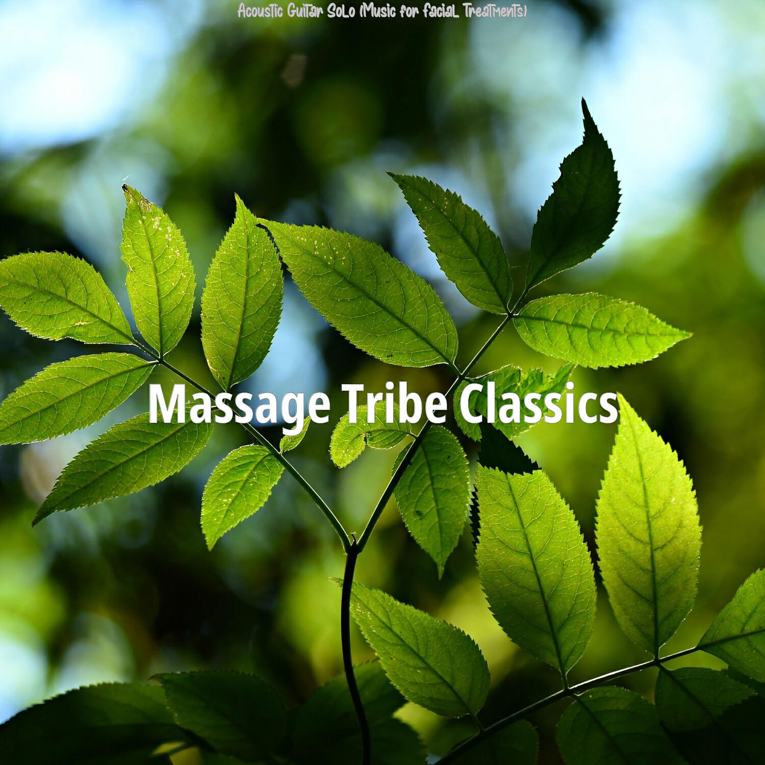 Massage Tribe Classics - Playful Music for Deep Tissue Massage