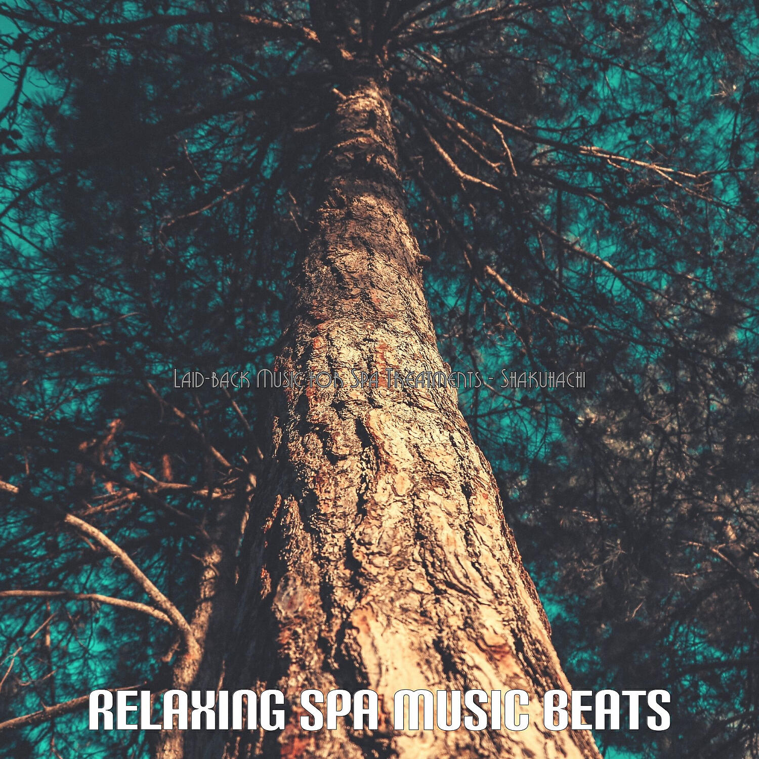 Relaxing Spa Music Beats - Retro Ambience for Relaxation Therapy