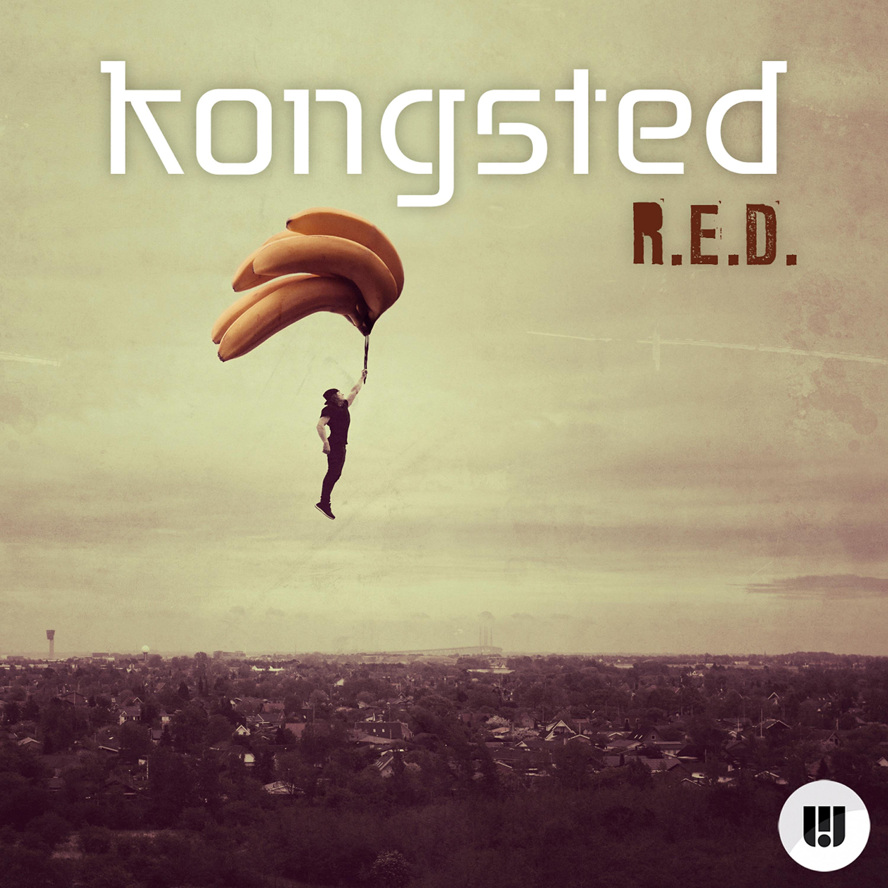 Kongsted - R.E.D (Snavs & Fabian Mazur Remix)