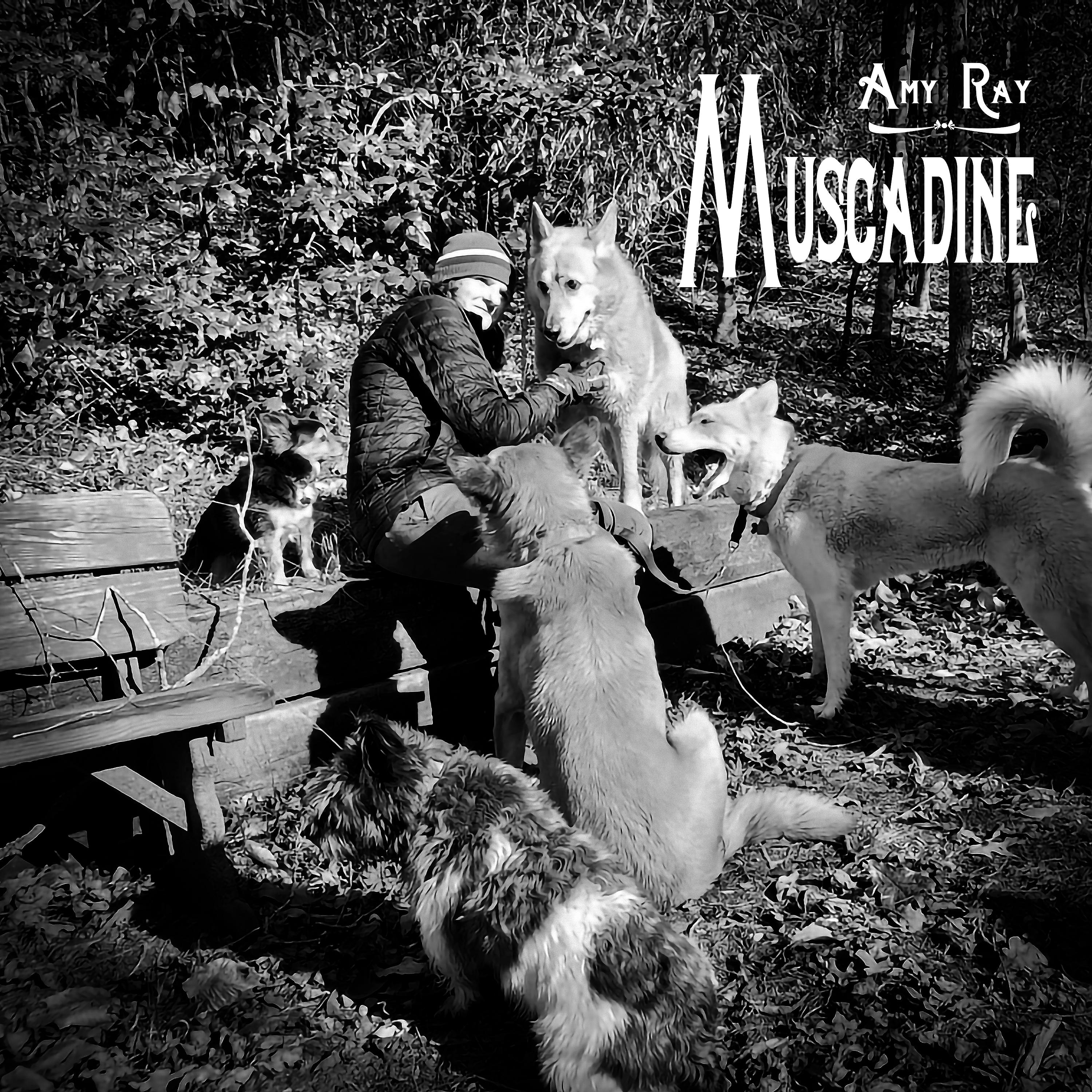 Постер альбома Muscadine (Video Mix)