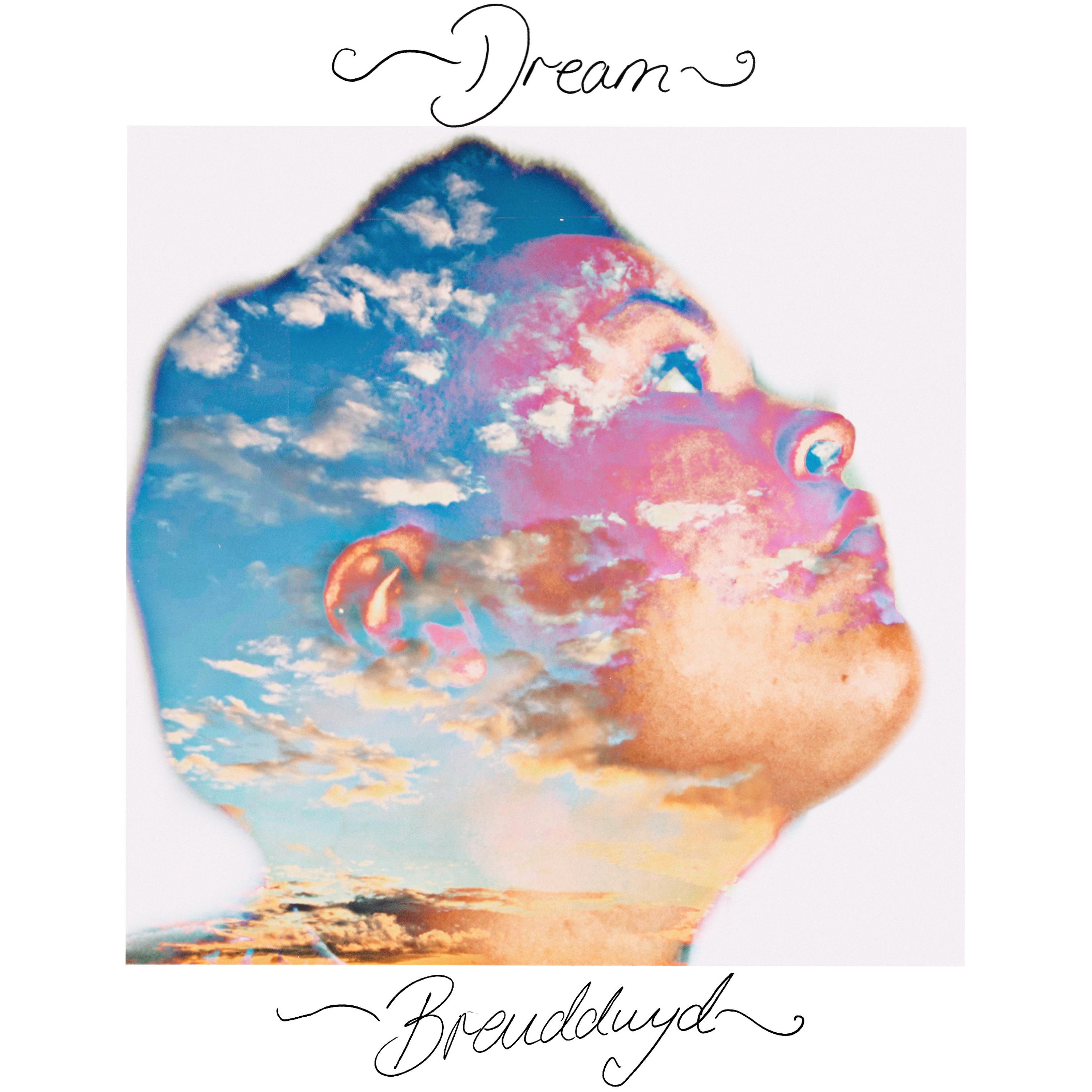 Постер альбома Breuddwyd / Dream