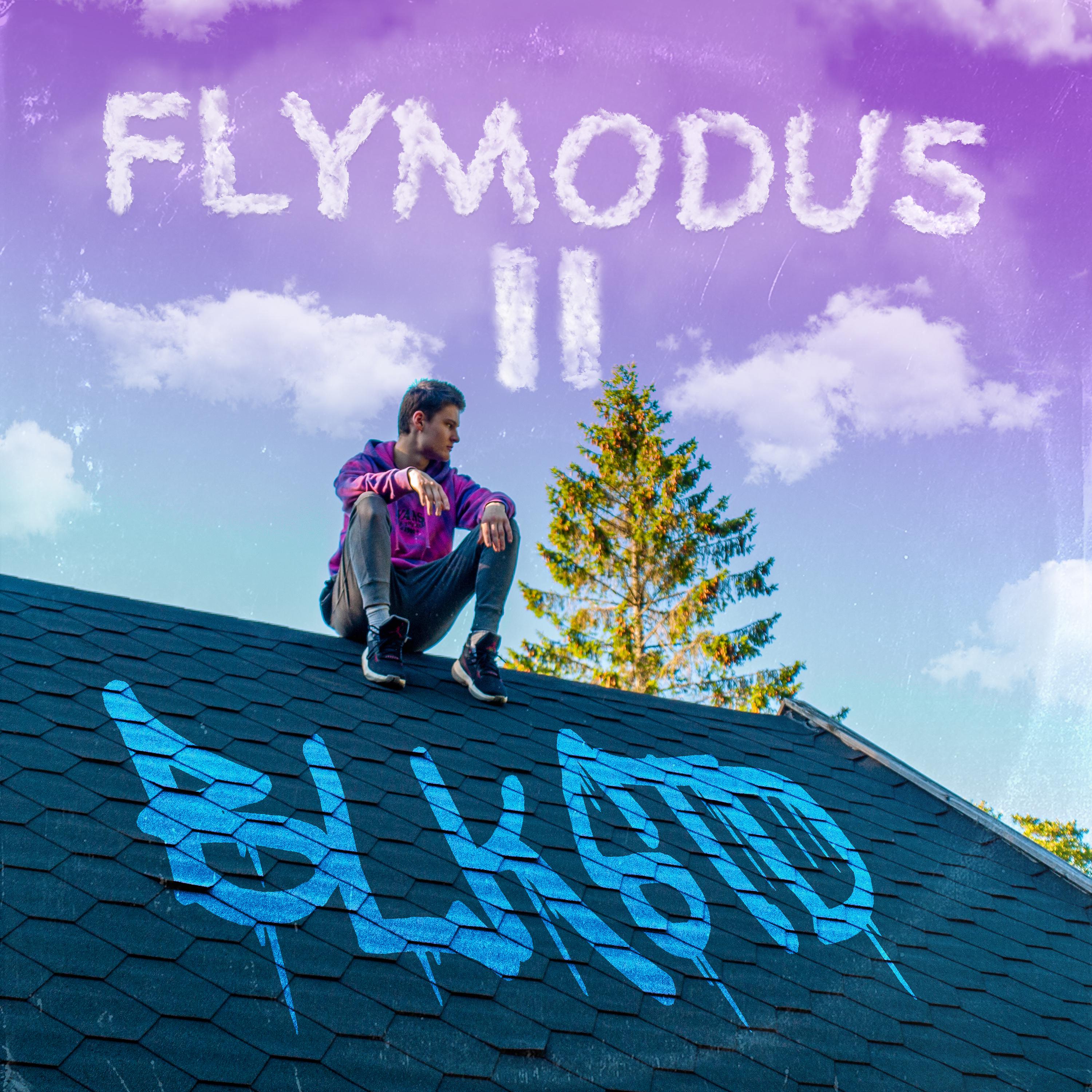 Постер альбома Flymodus II