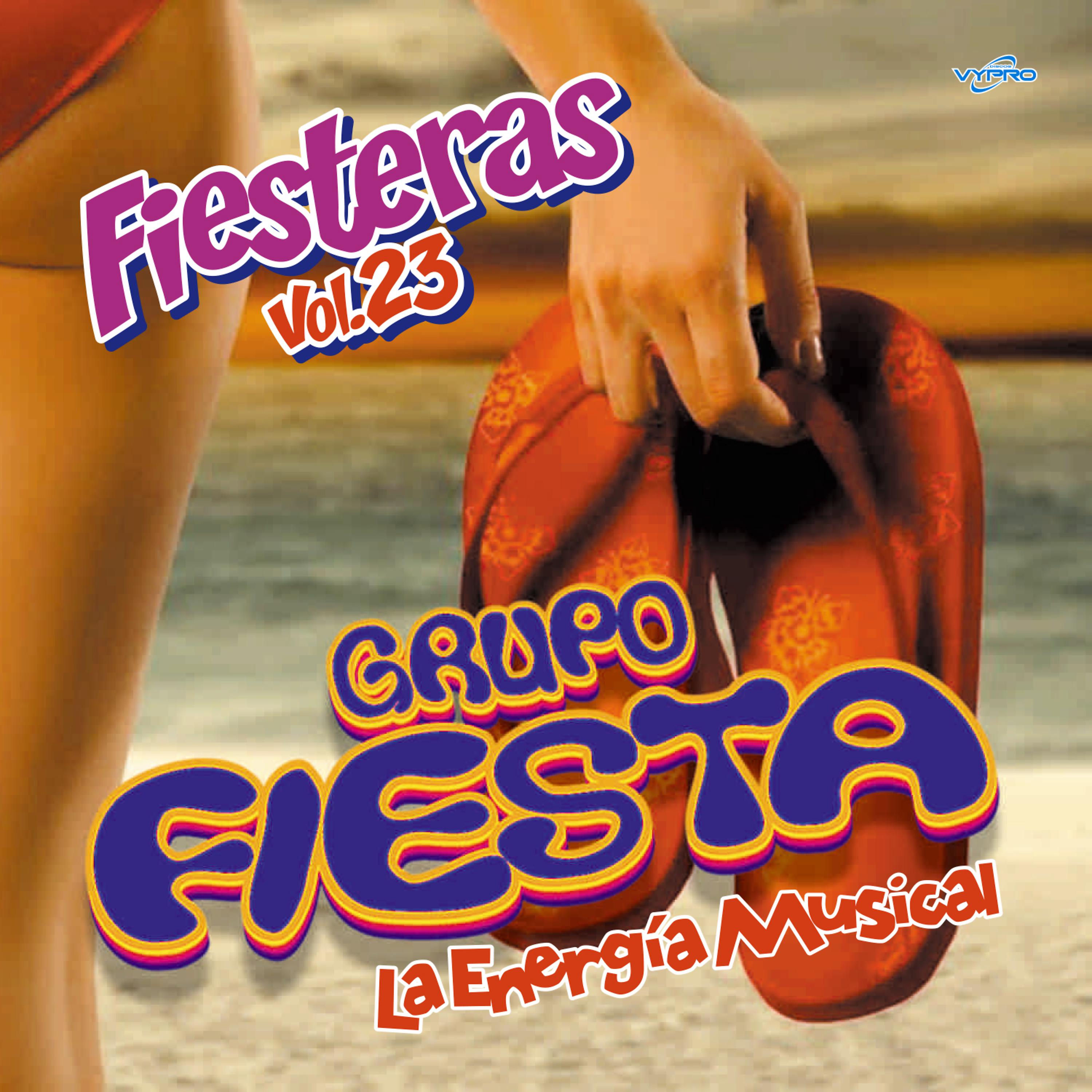 Постер альбома Fiesteras Vol. 23