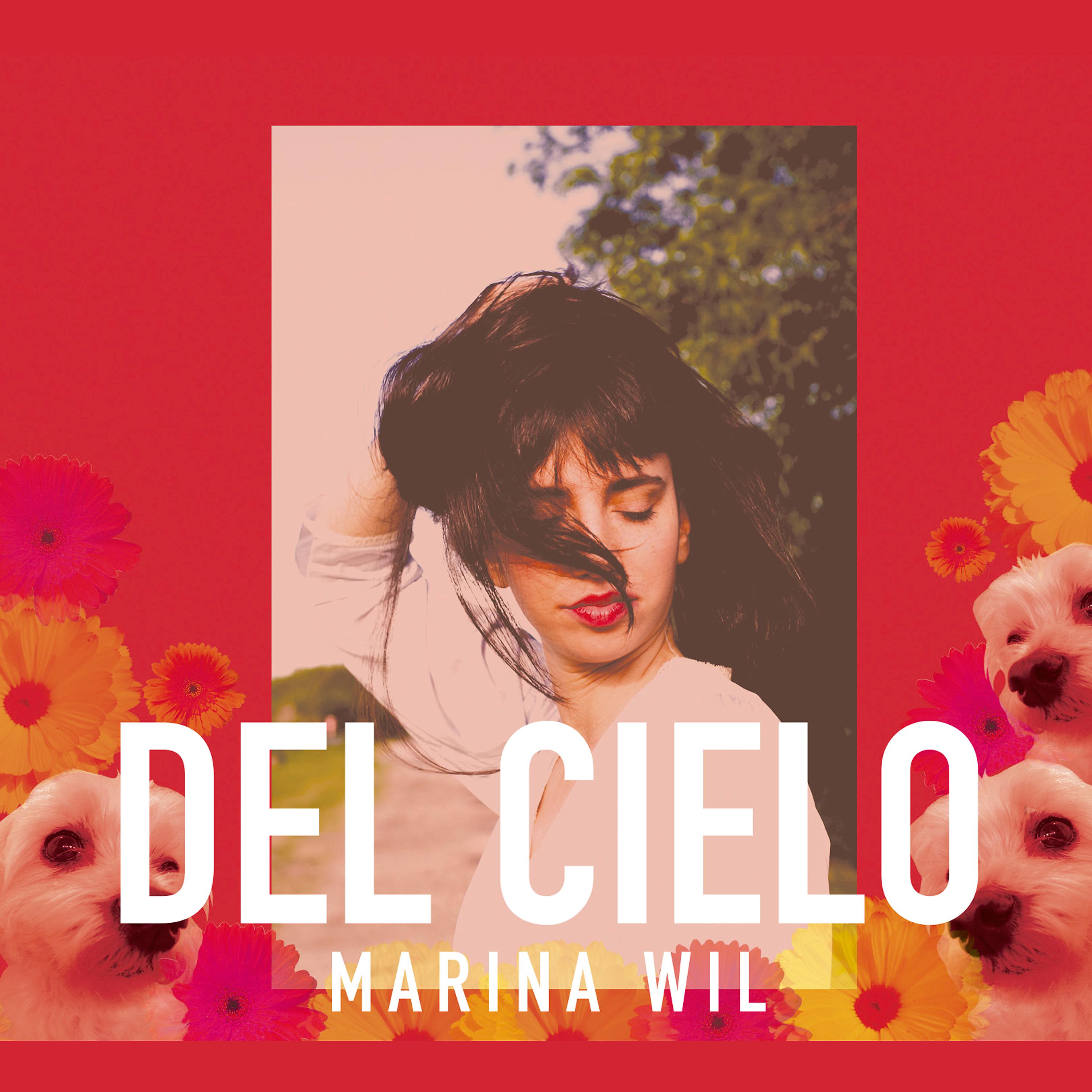 Постер альбома Del Cielo