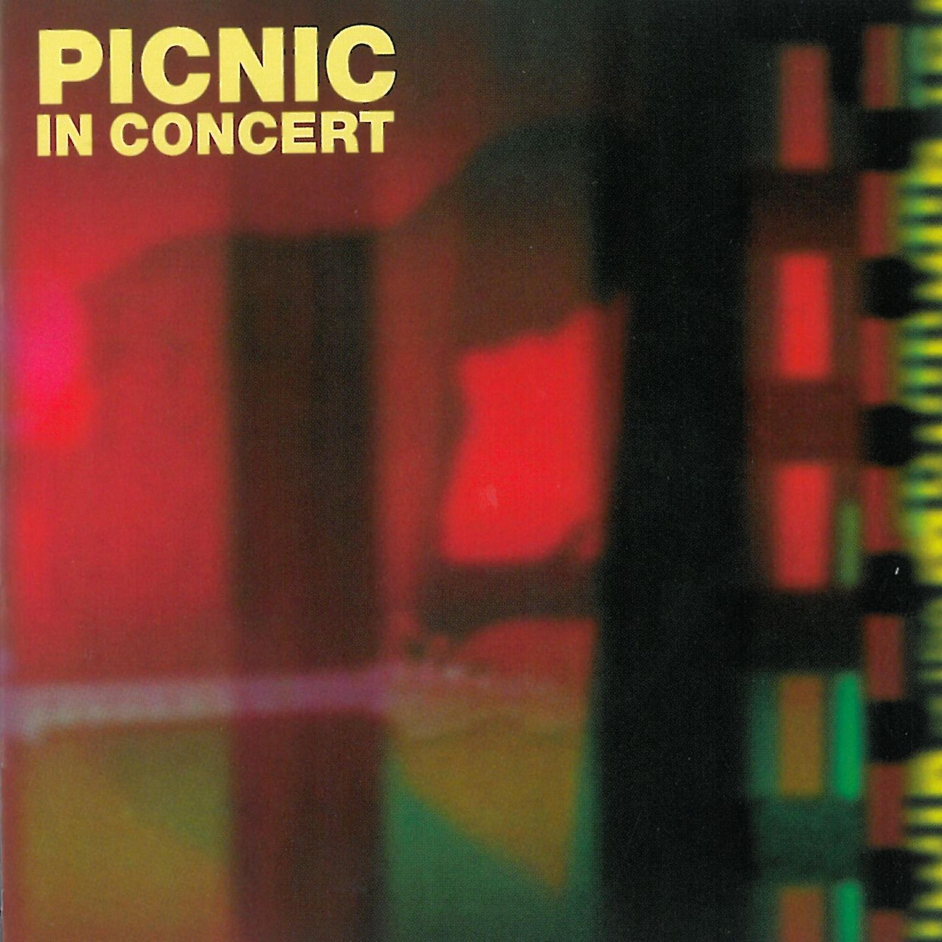 Picnic - Insect Summer