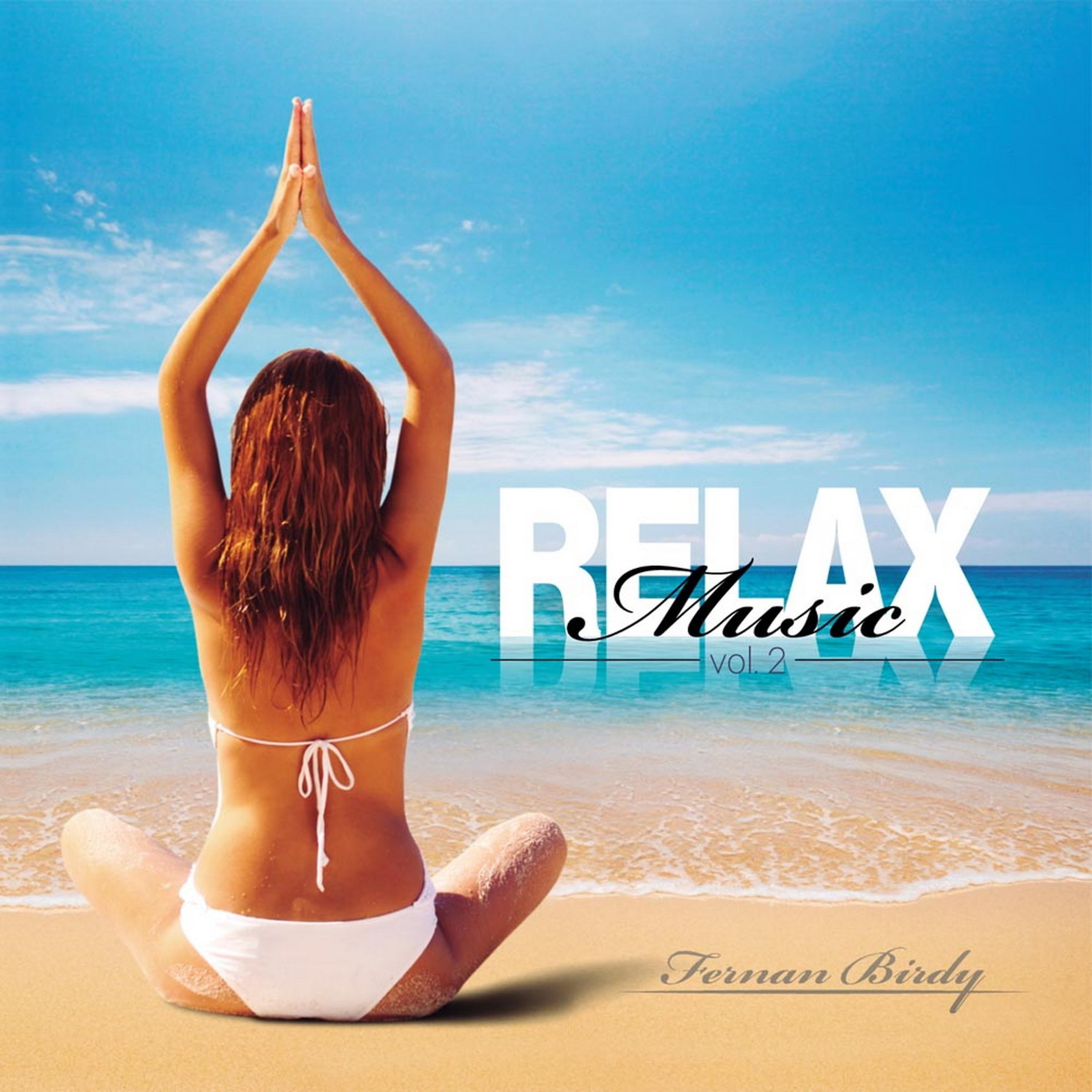 Постер альбома Relax Music Vol. 2