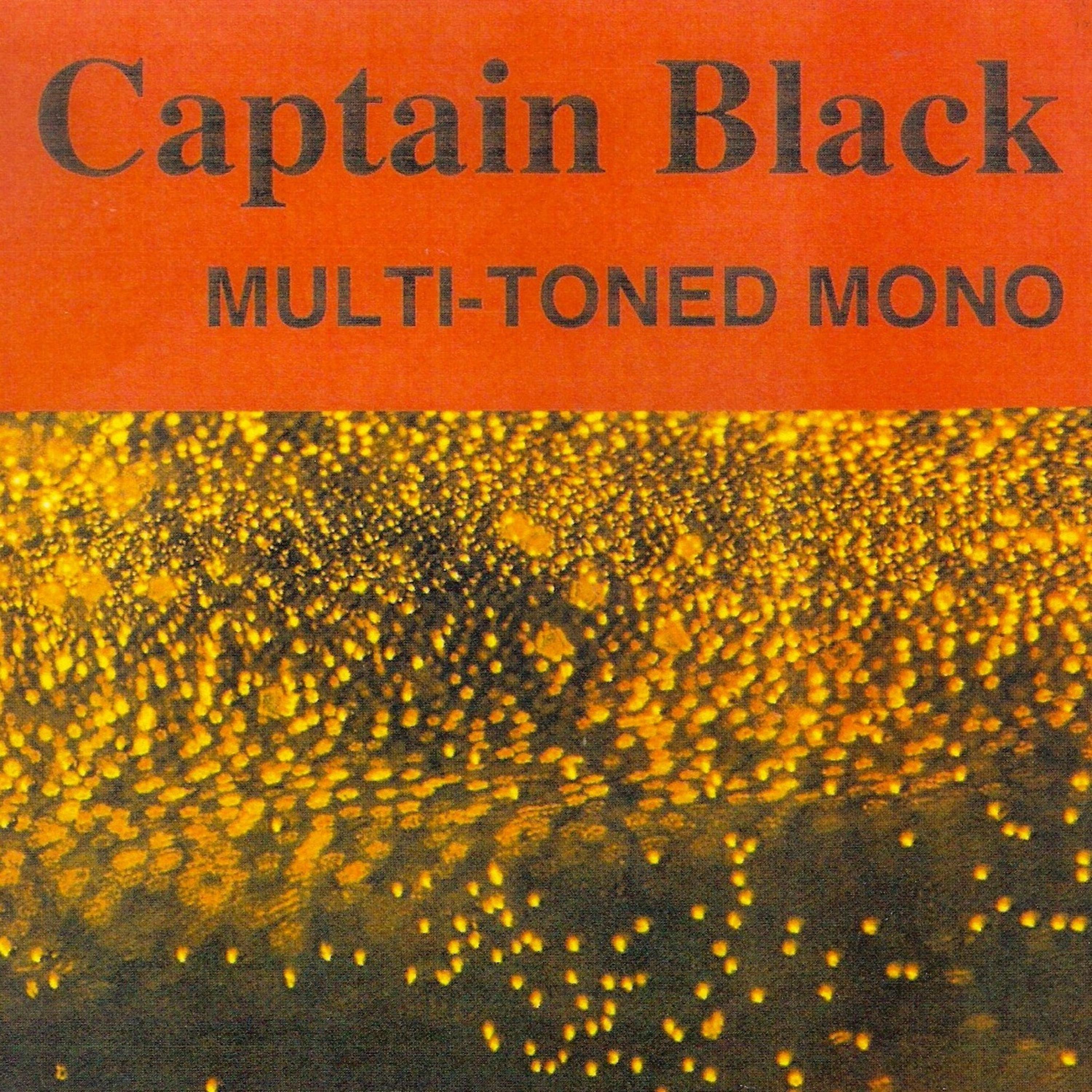 Постер альбома Multi-Toned Mono