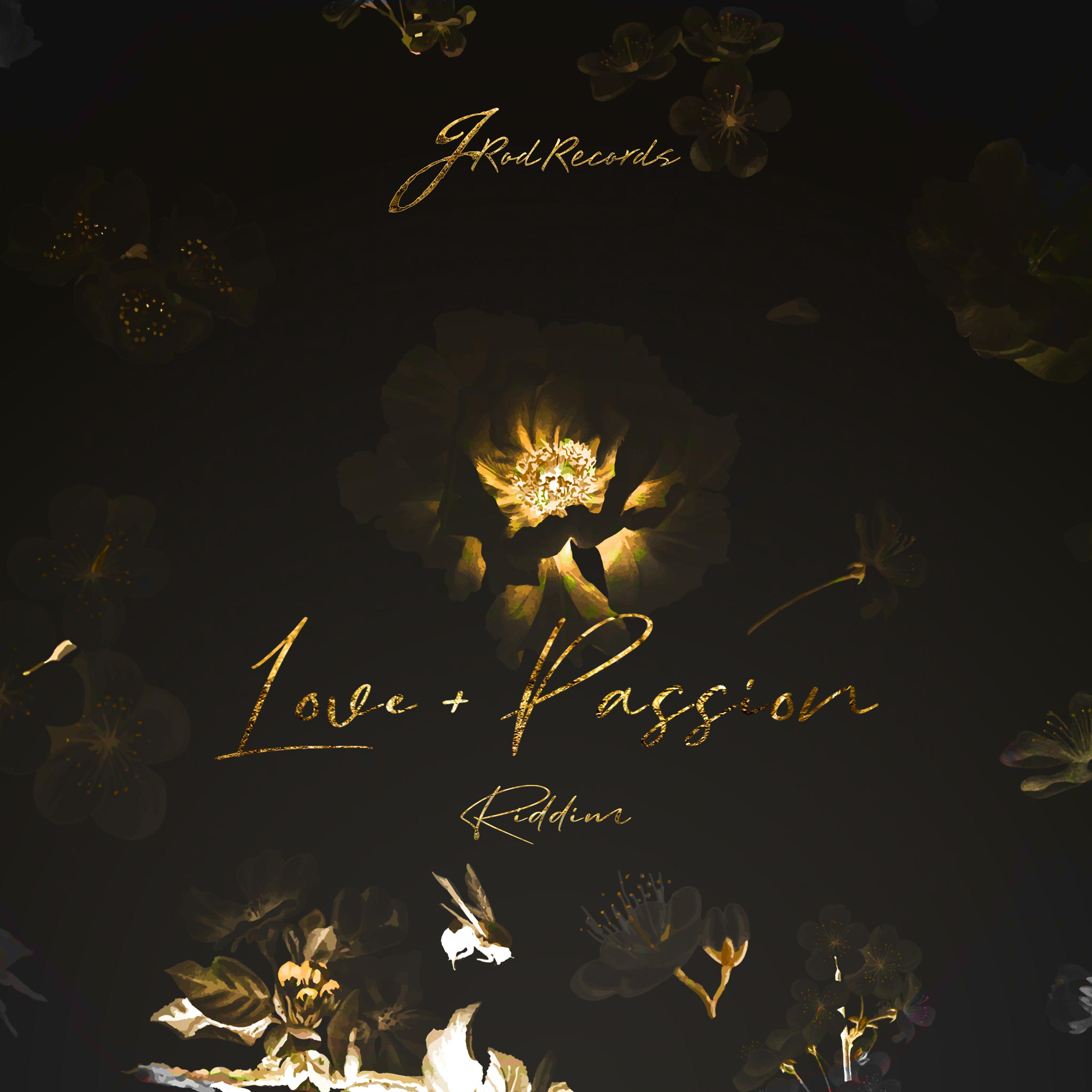 Постер альбома Love and Passion Riddim