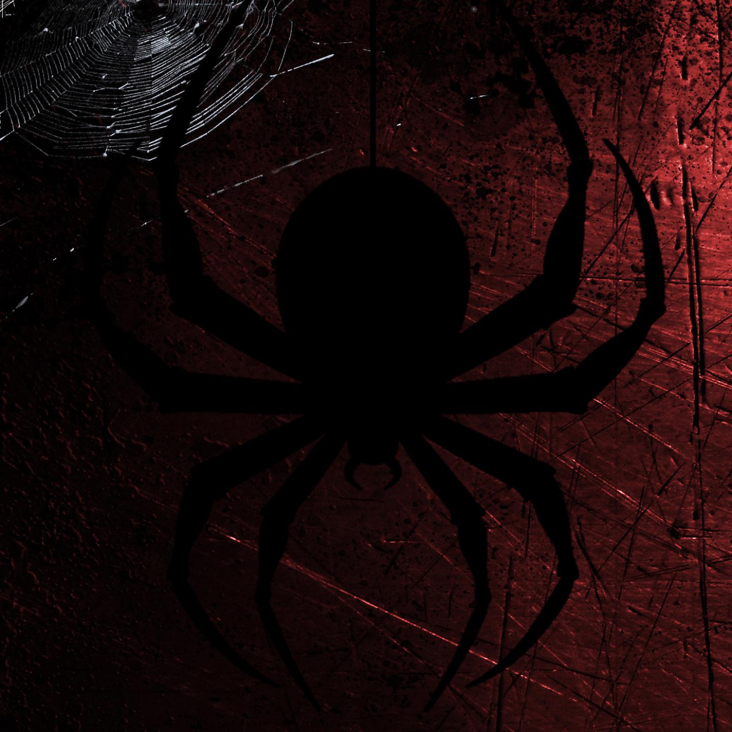 Постер альбома Spider Kuceka