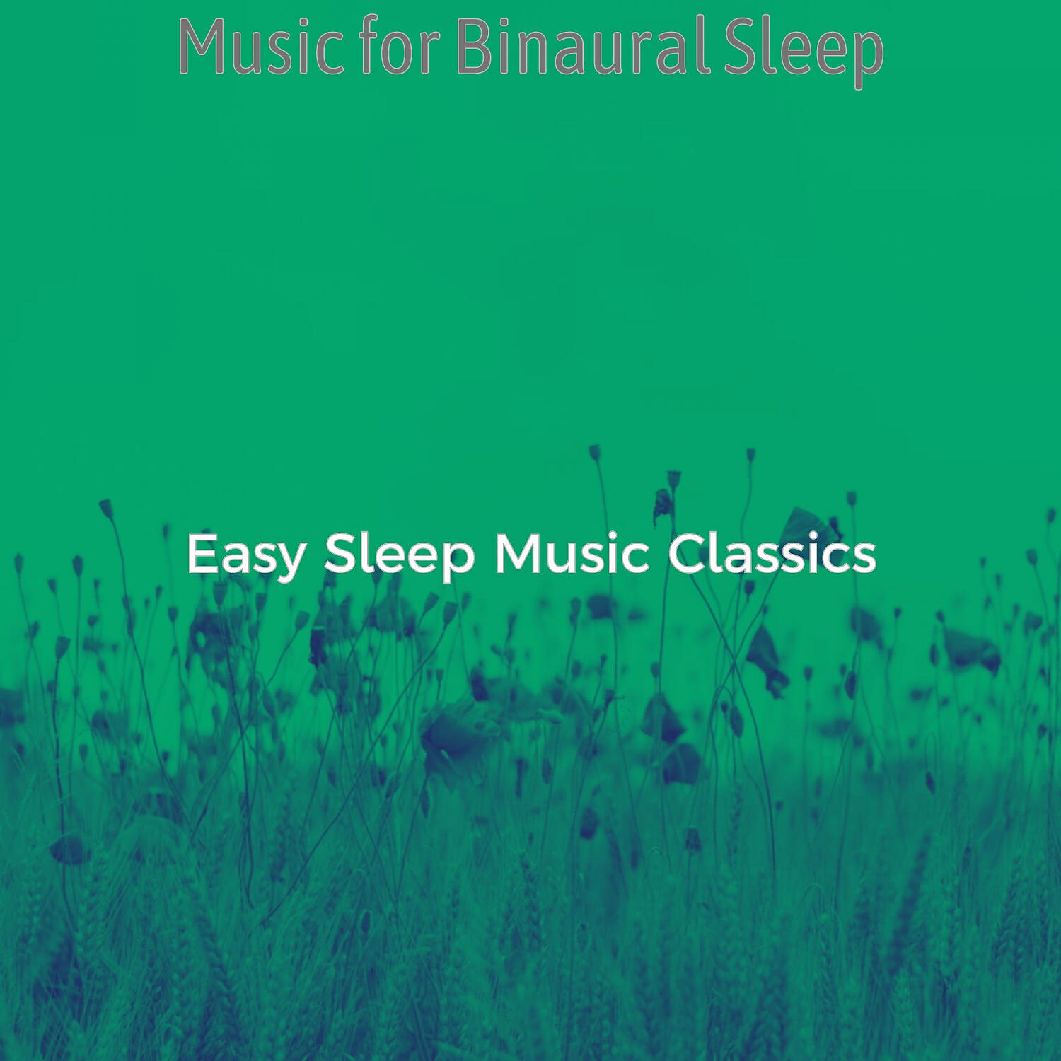 Easy Sleep Music Classics - Lovely Ambiance for Deep Sleep