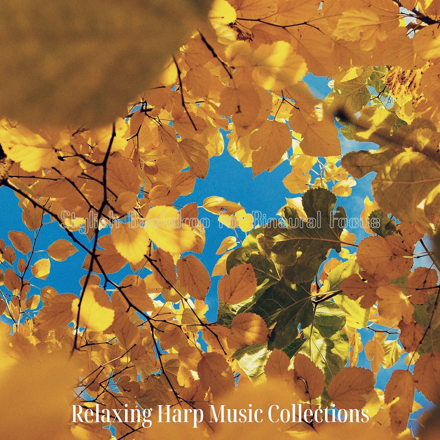 Relaxing Harp Music Collections - Inspiring Guitar and Harps - Vibe for Spa Hours