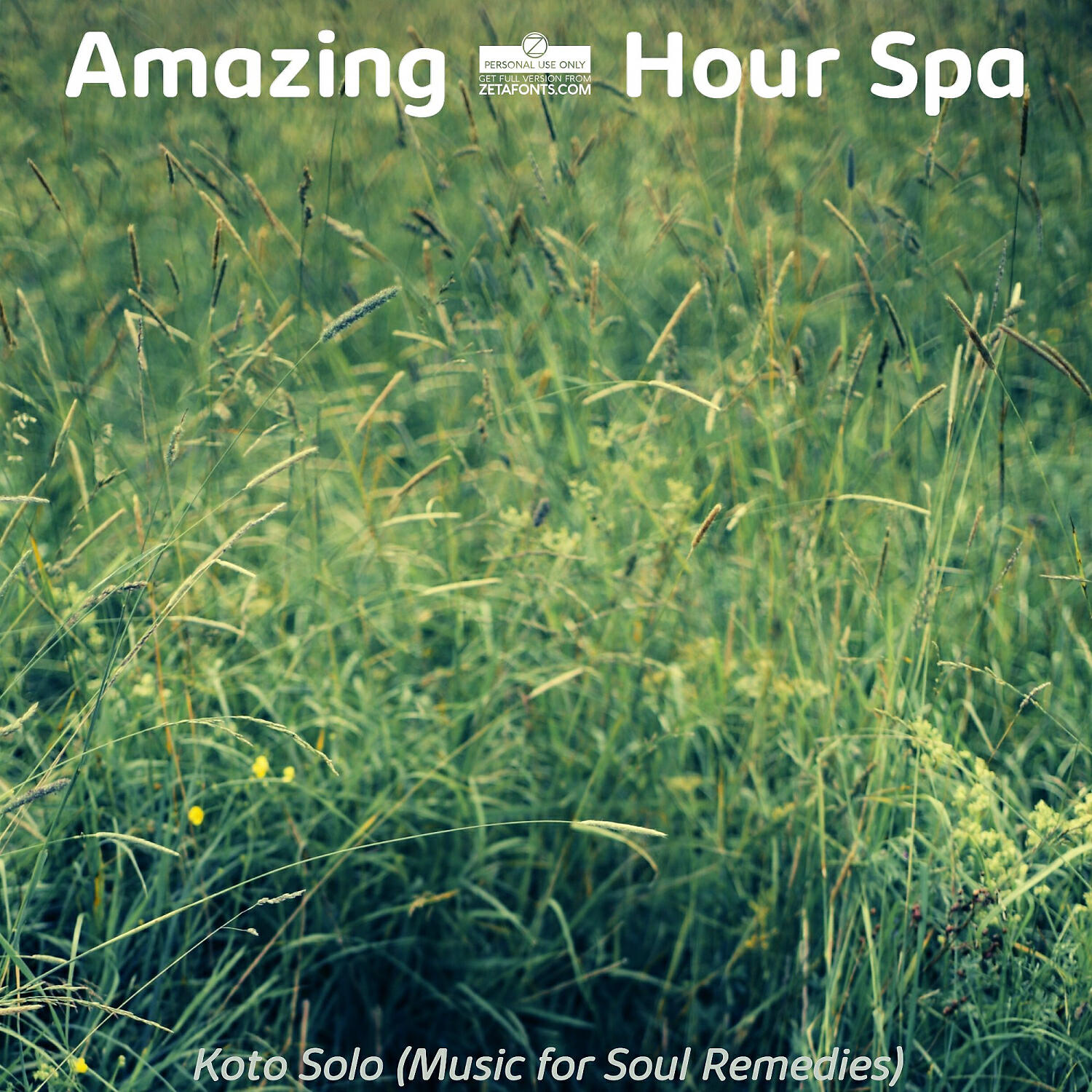 Amazing 1 Hour Spa - Chilled Ambiance for Stone Massage