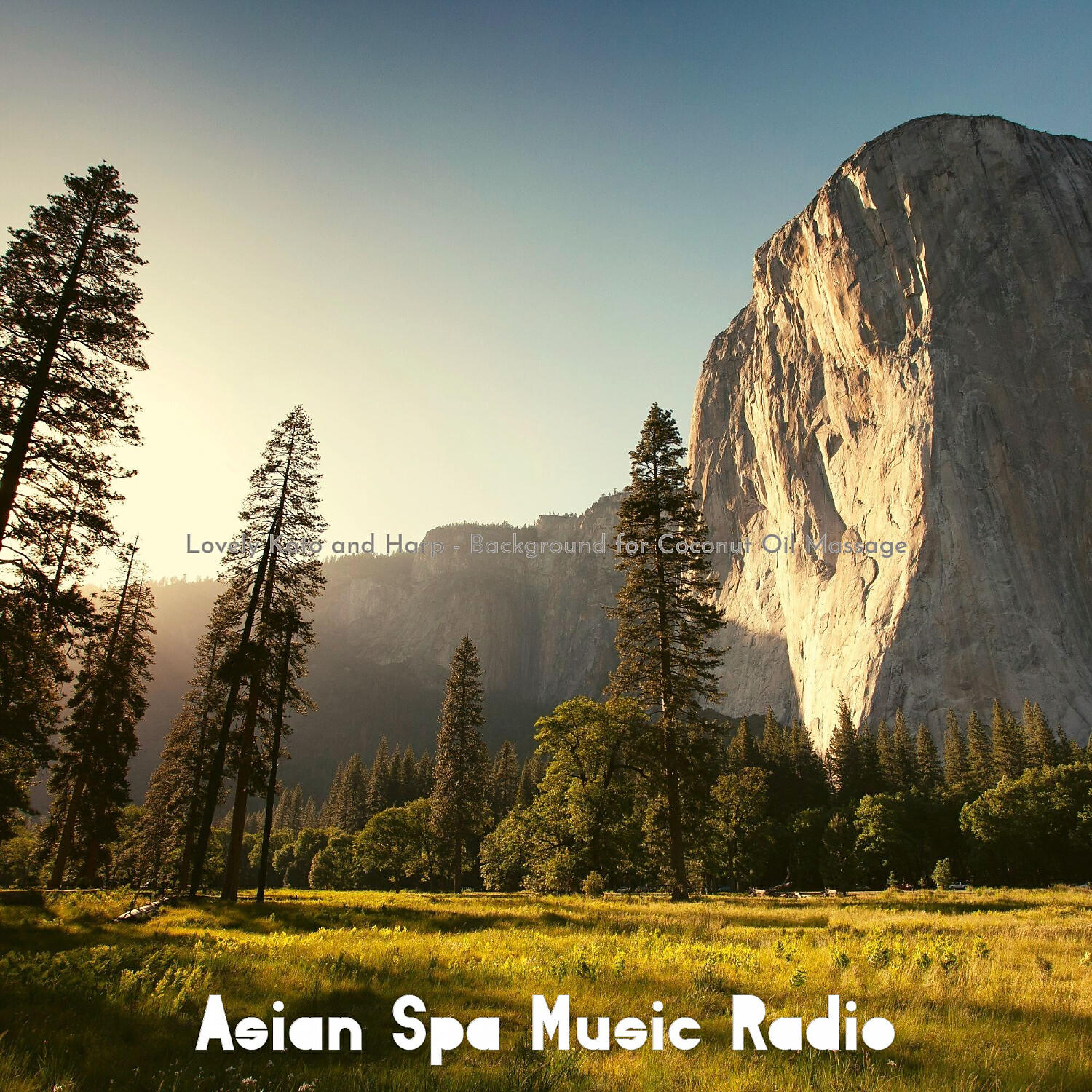 Asian Spa Music Radio - Swanky Ambiance for Rejuvenating Spas