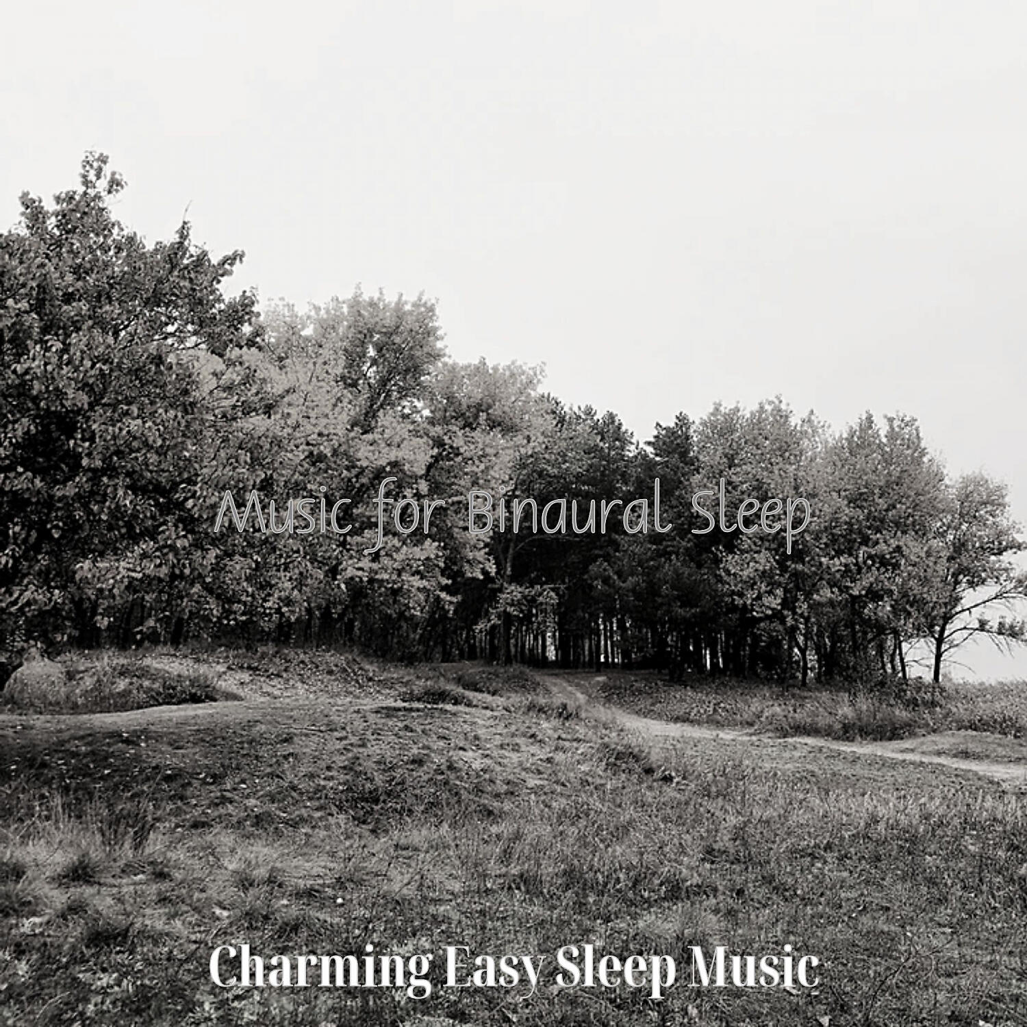 Charming Easy Sleep Music - Amazing Backdrops for Sleeping Well