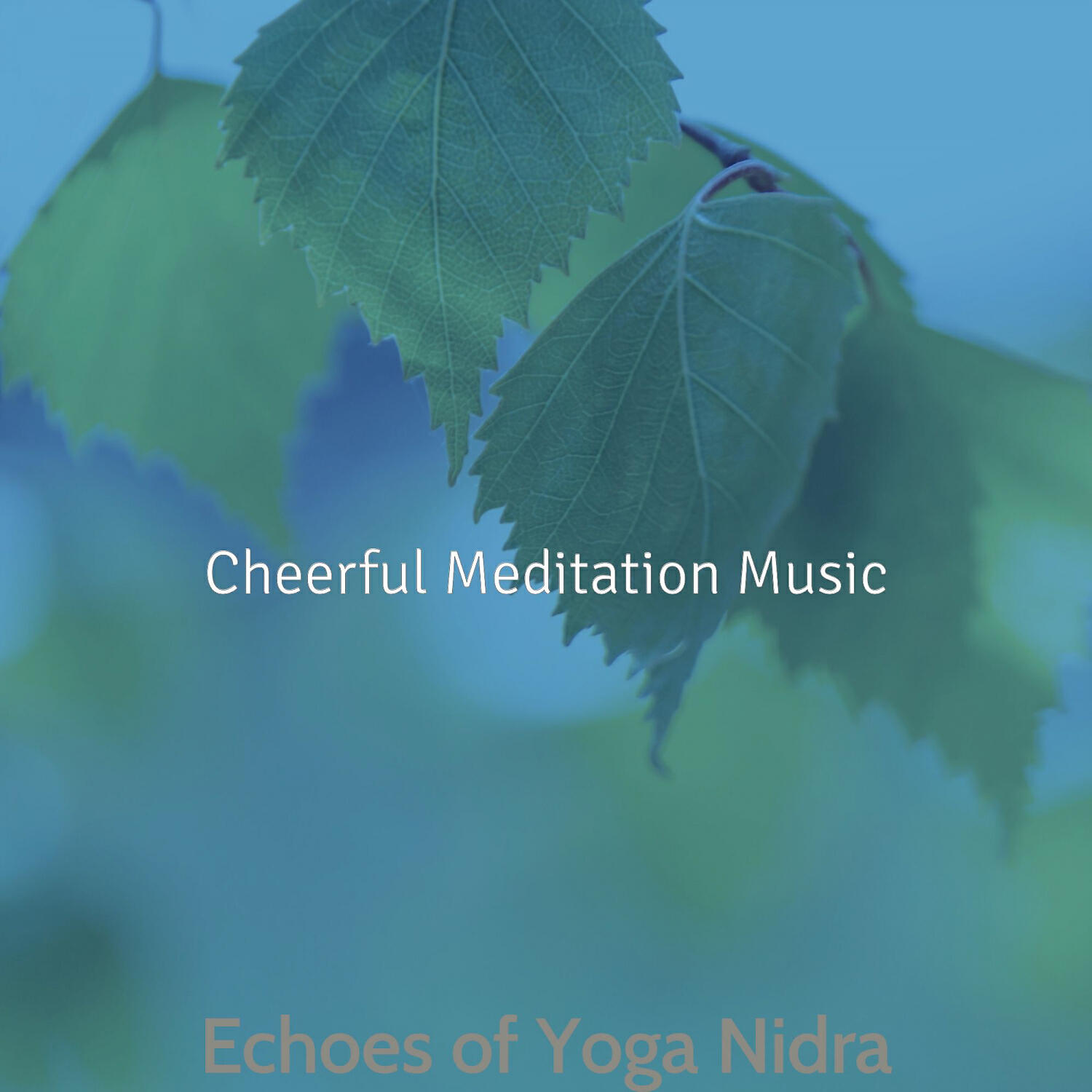 Cheerful Meditation Music - Happy Shakuhachi and Harps - Vibe for 1 Hour Meditation