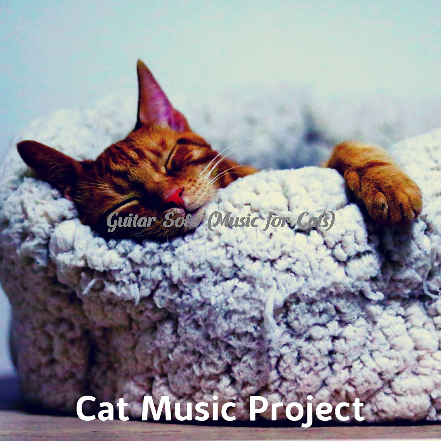 Cat Music Project - Lonely Music for Training Your Cat