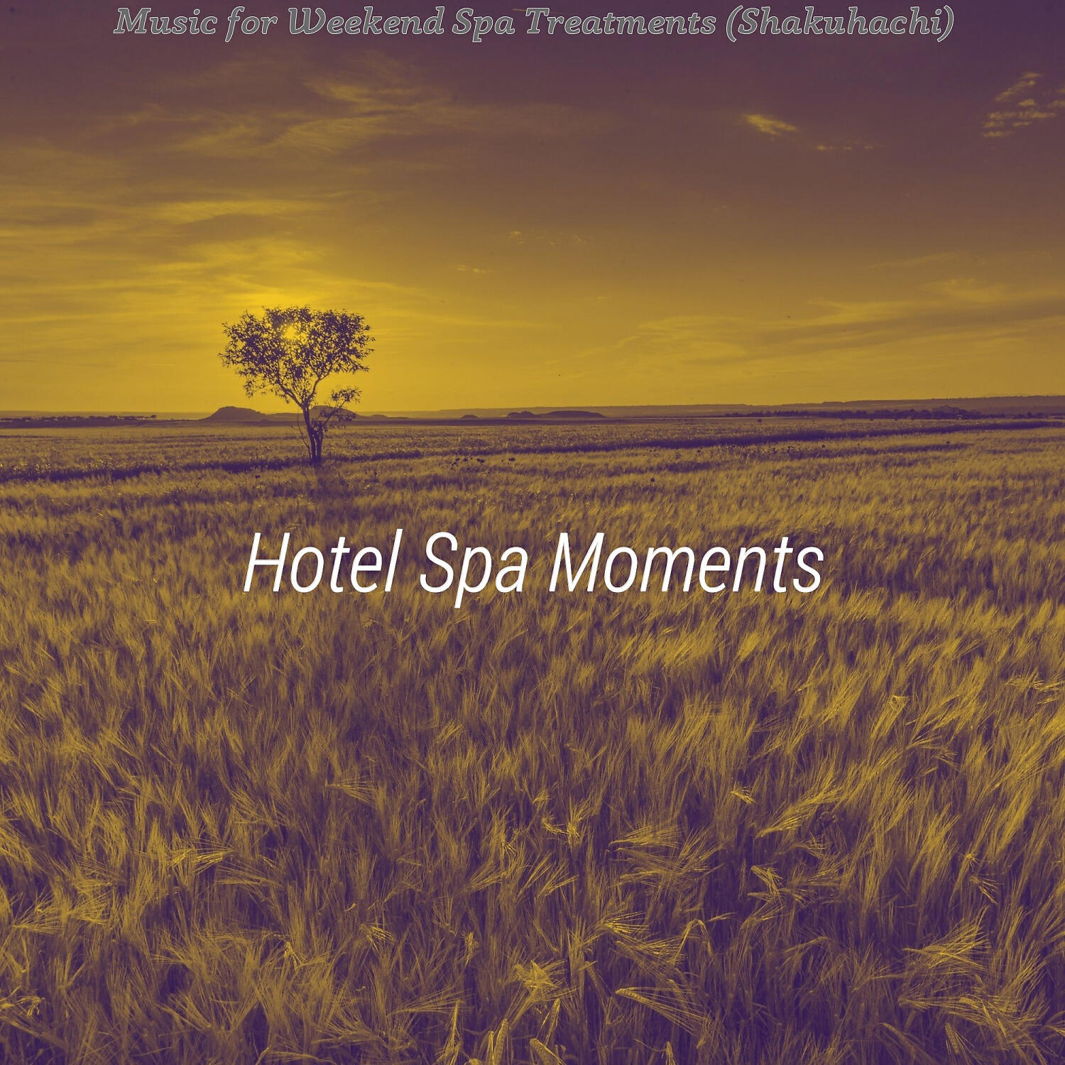 Hotel Spa Moments - Sparkling Moods for Spa Packages