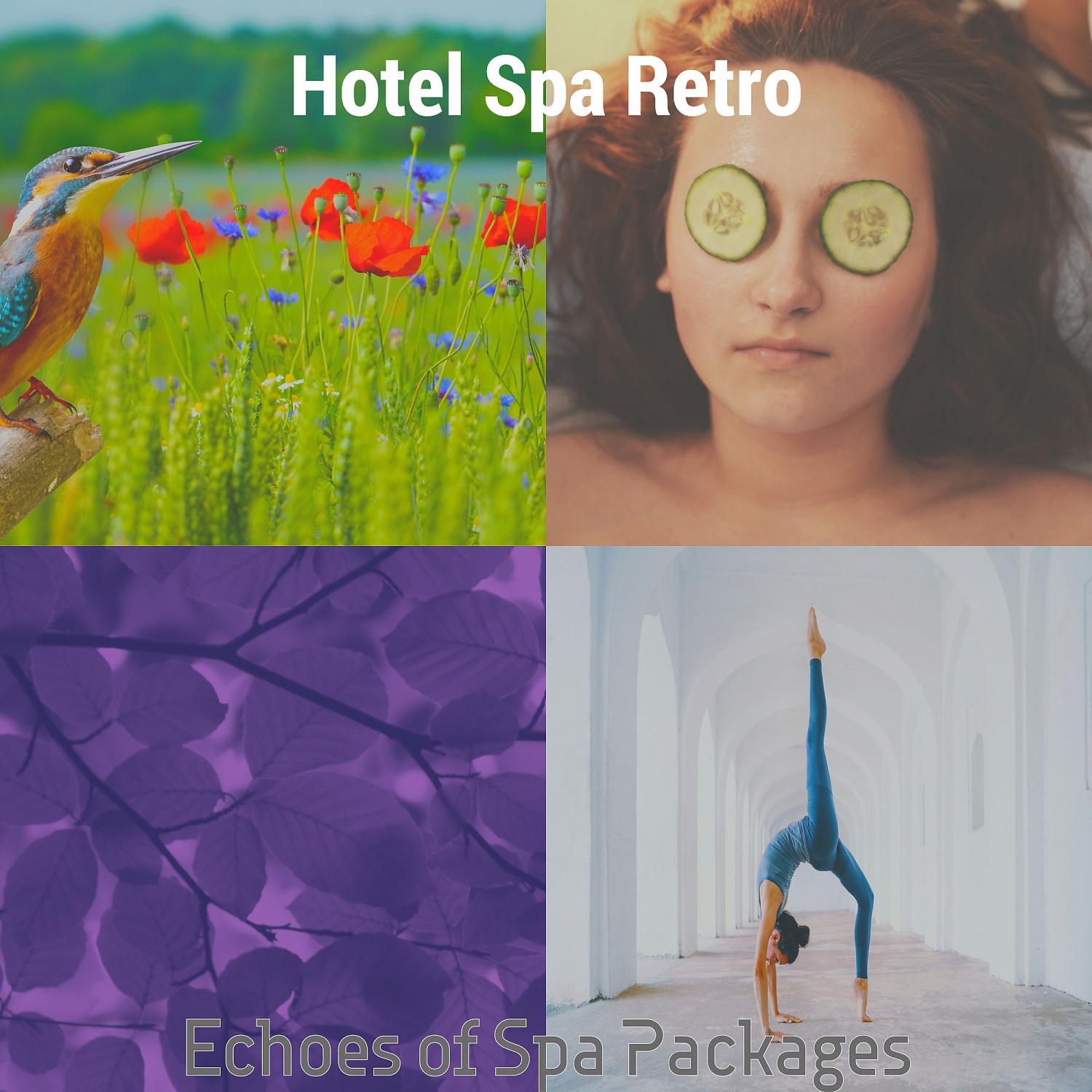 Постер альбома Echoes of Spa Packages