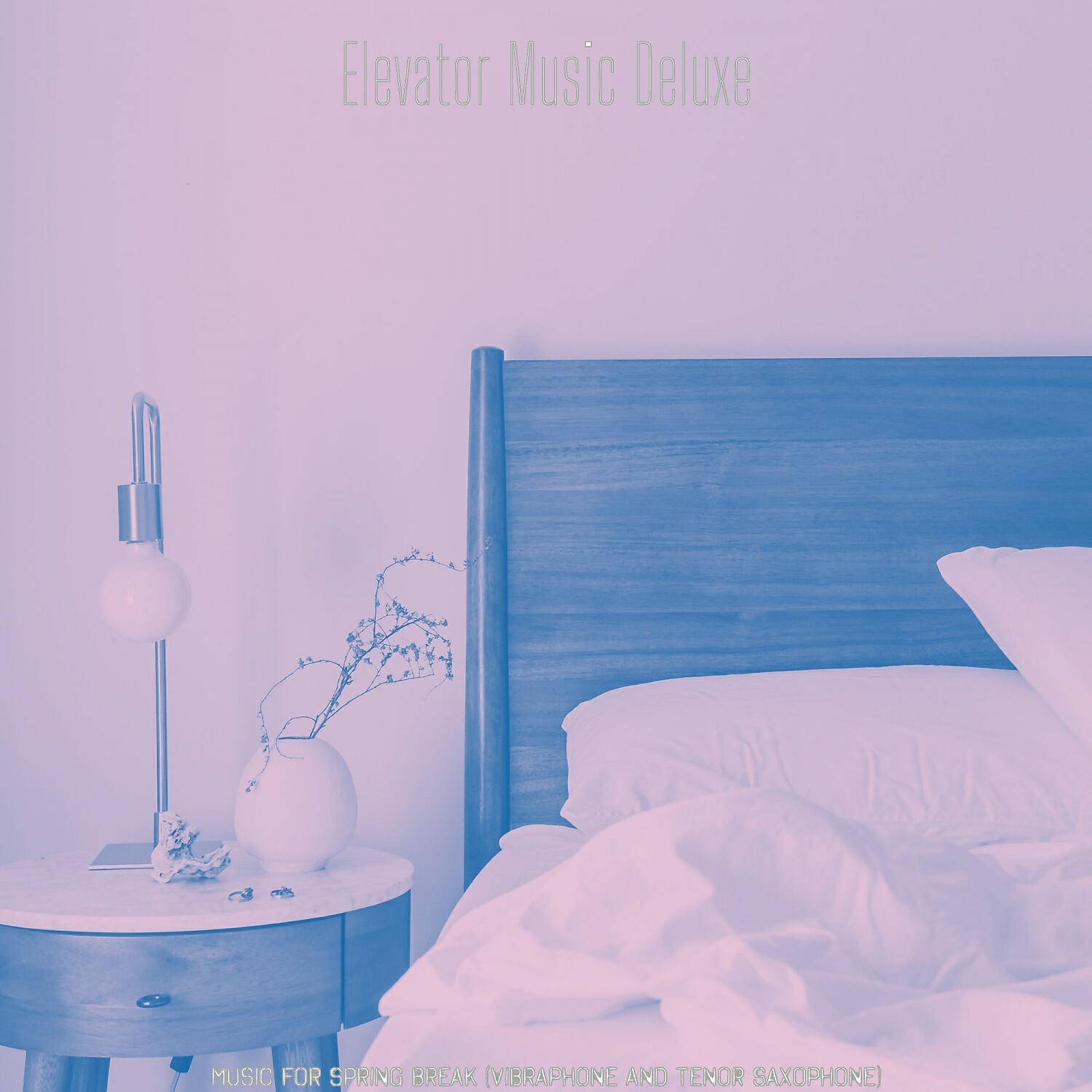 Elevator Music Deluxe - Charming Moods for Vacations