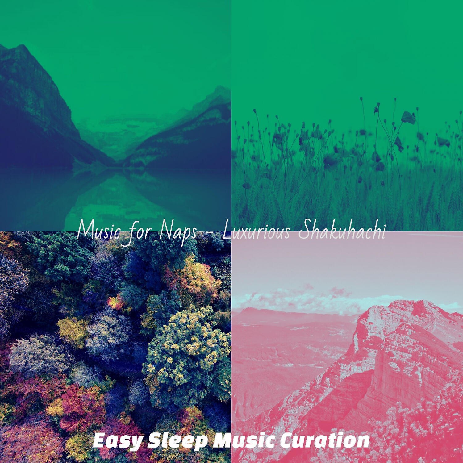 Easy Sleep Music Curation - Fabulous Shakuhachi and Harps - Vibe for Sleeping Well