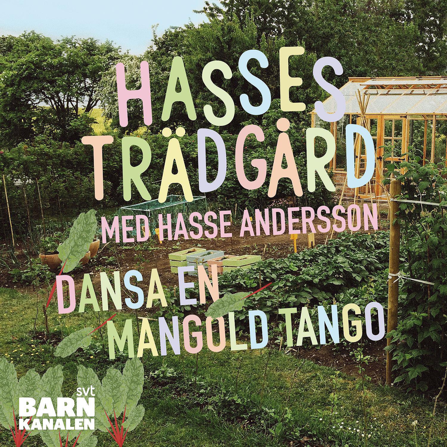 Hasse Andersson - Dansa en mangold-tango