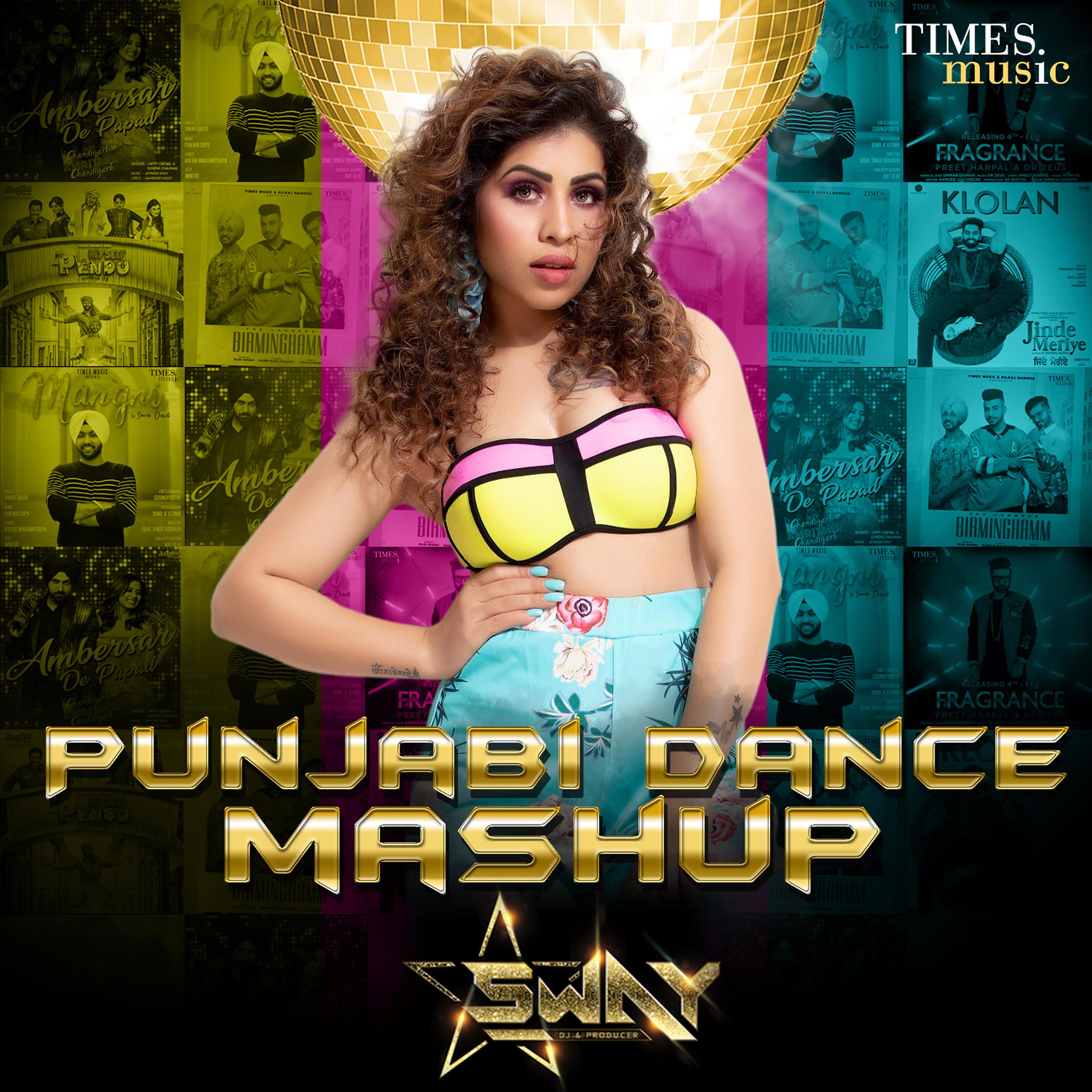 Постер альбома Punjabi Dance Mashup - Single