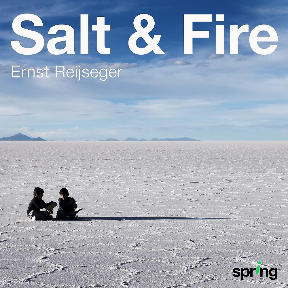 Постер альбома Salt and Fire (Music for a Werner Herzog Film)