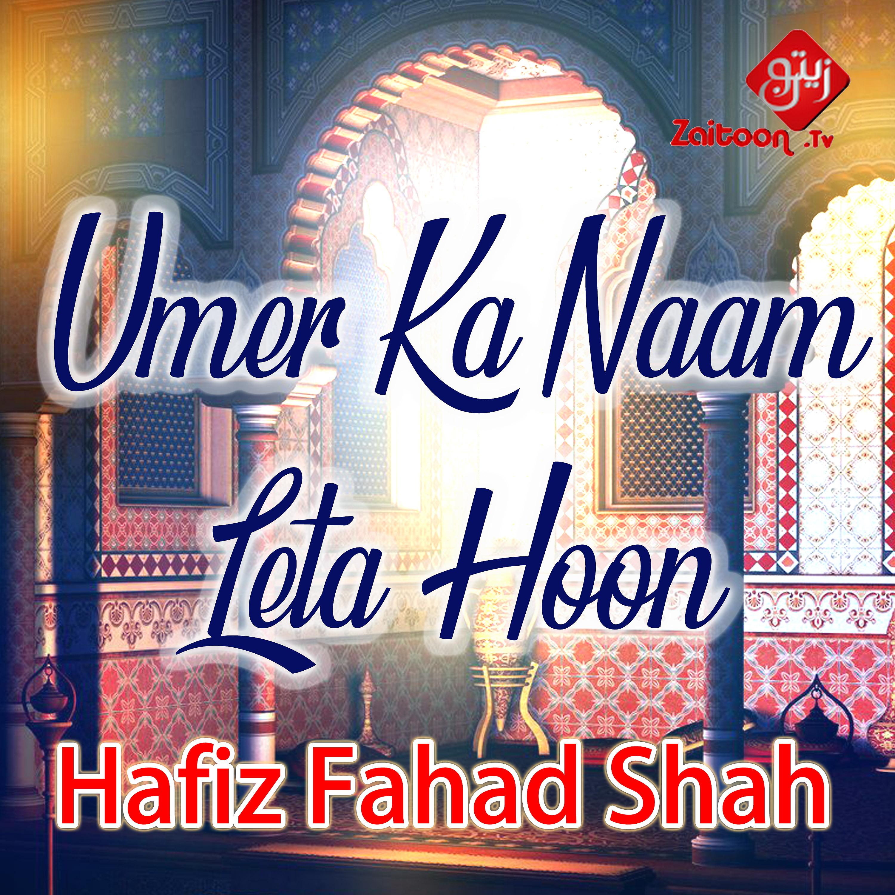 Постер альбома Umer Ka Naam Leta Hoon - Single