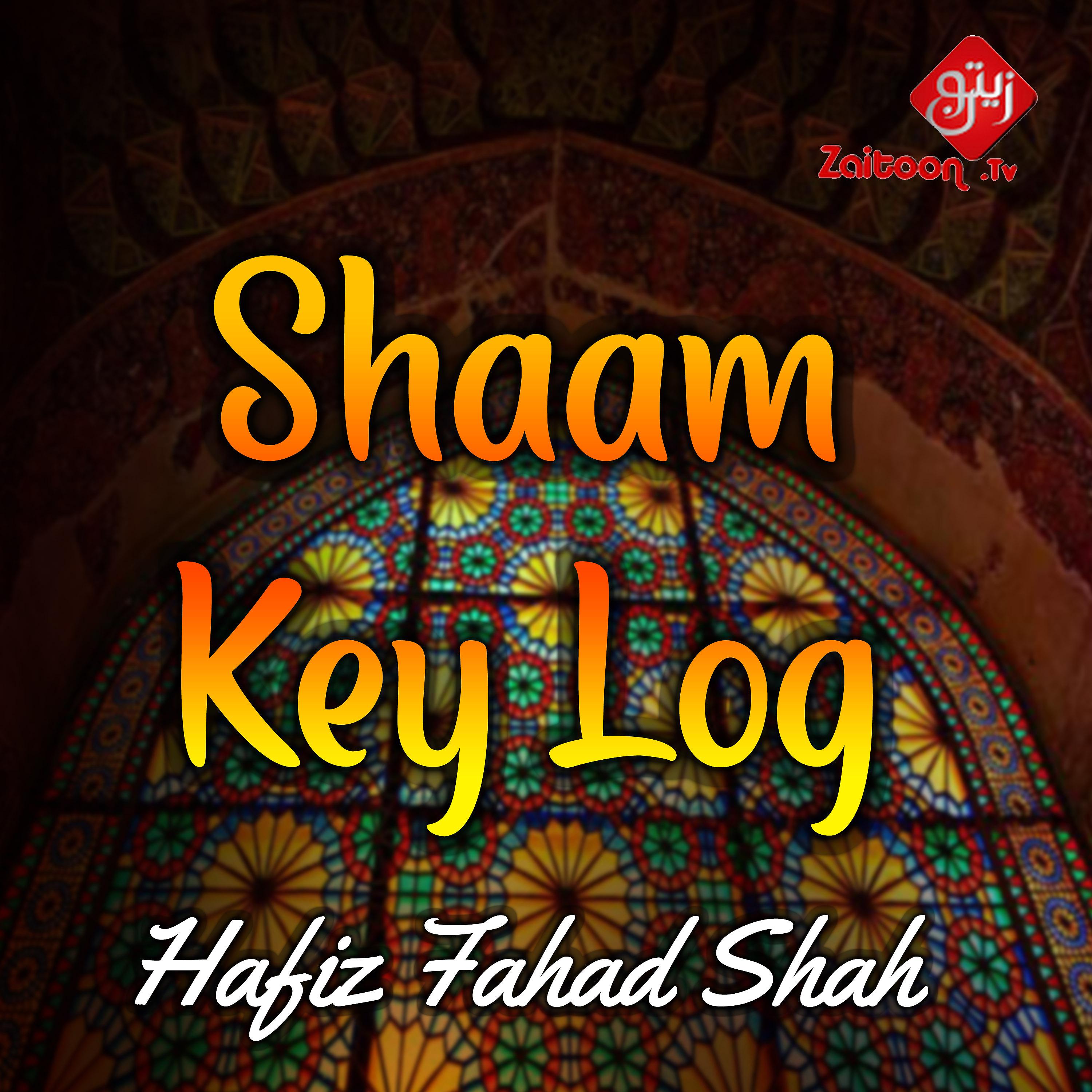 Постер альбома Shaam Key Log - Single
