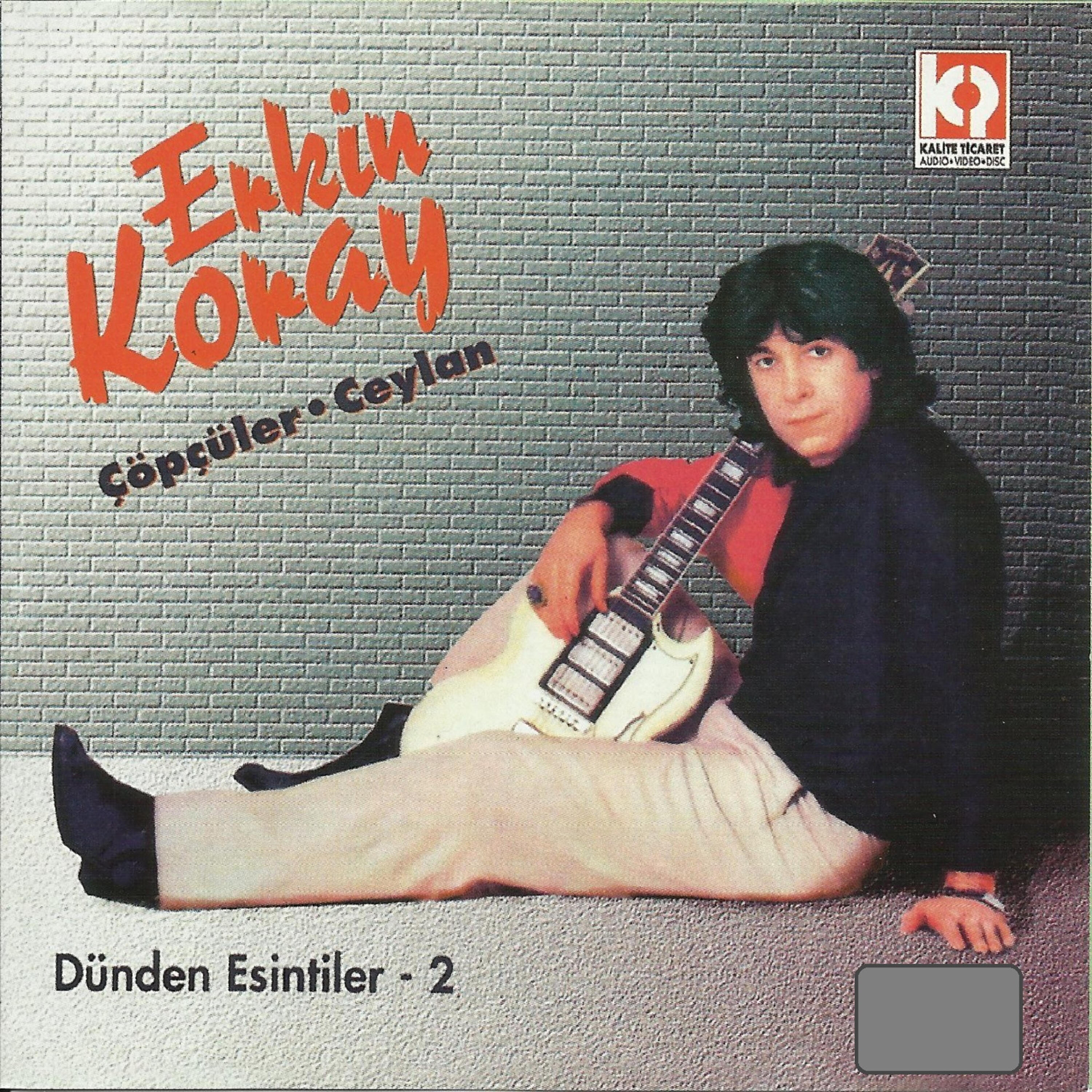 Erkin Koray - Anlamadım