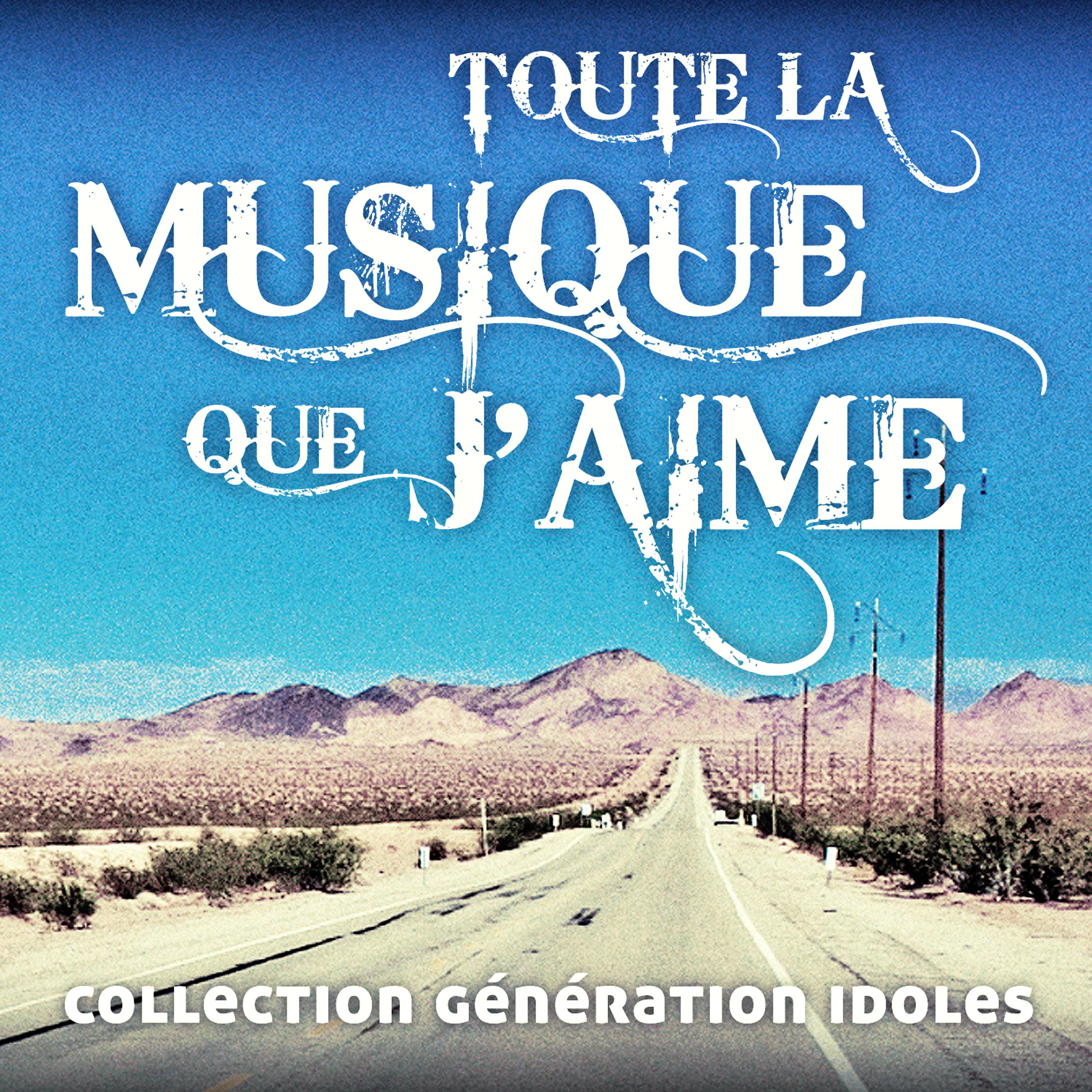 Постер альбома Toute La Musique Que J'Aime