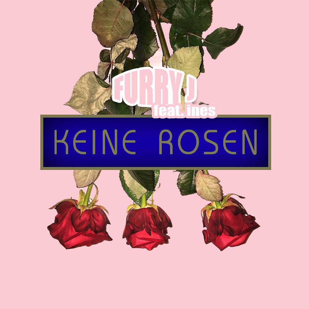 Постер альбома Keine Rosen