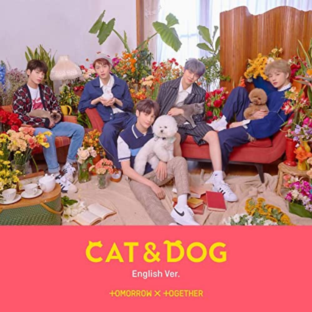 Постер альбома Cat & Dog