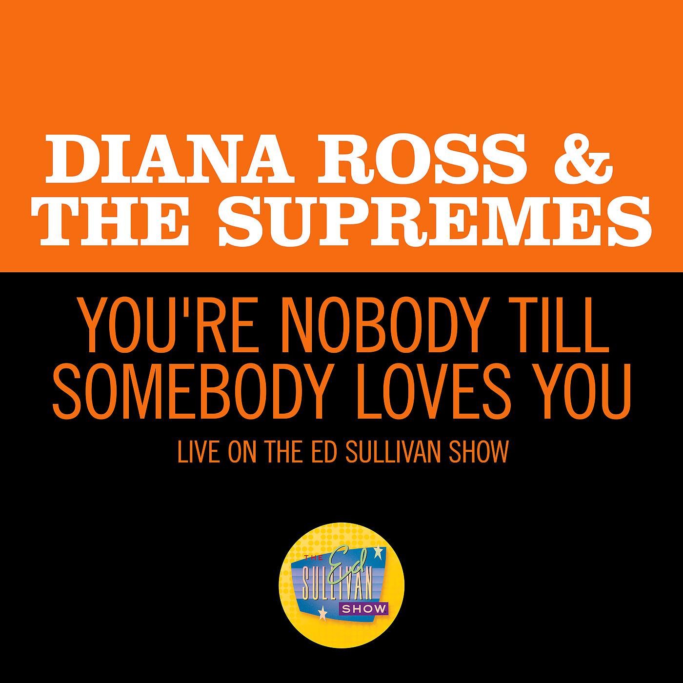 Постер альбома You're Nobody Till Somebody Loves You