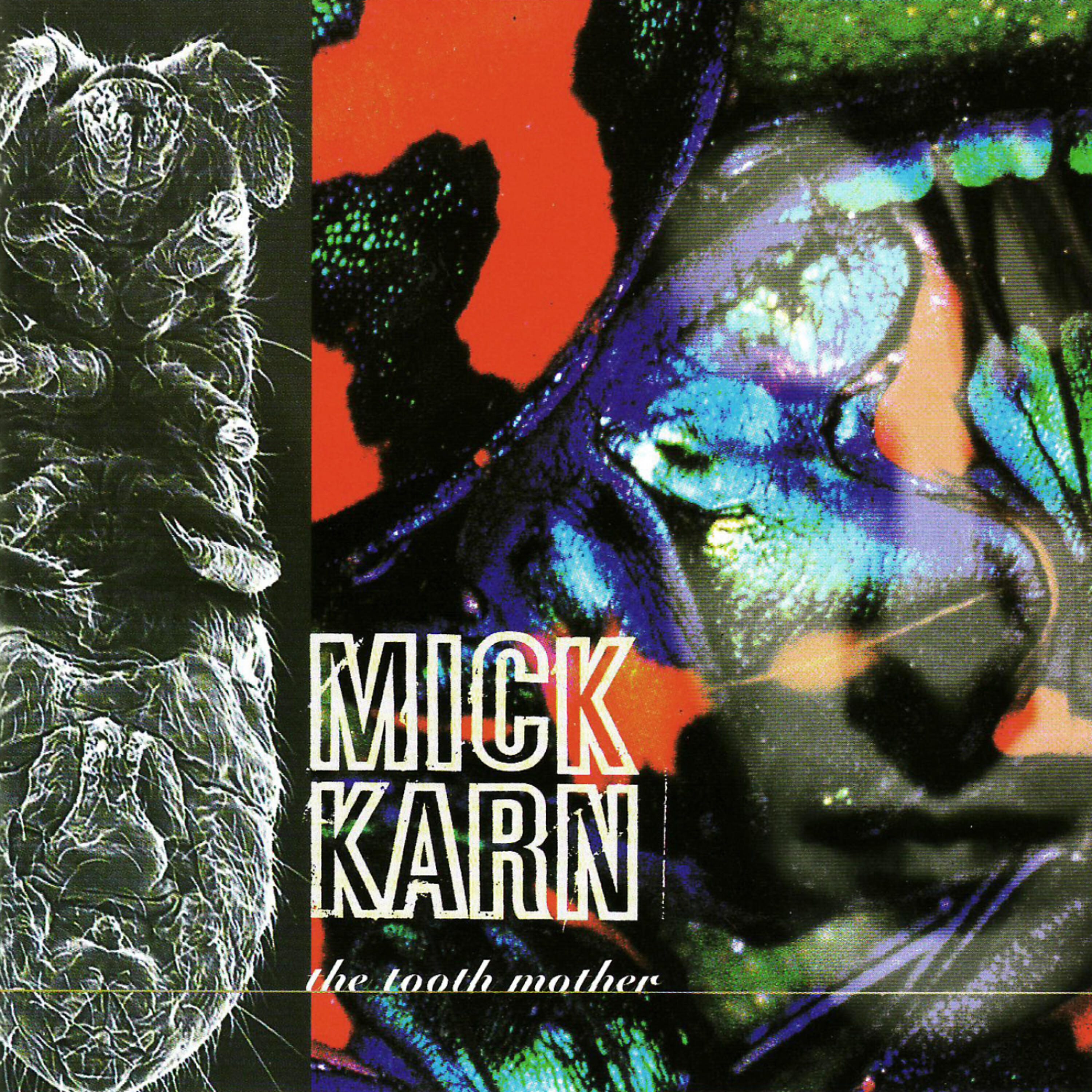 Mick Karn - Thundergirl Mutation