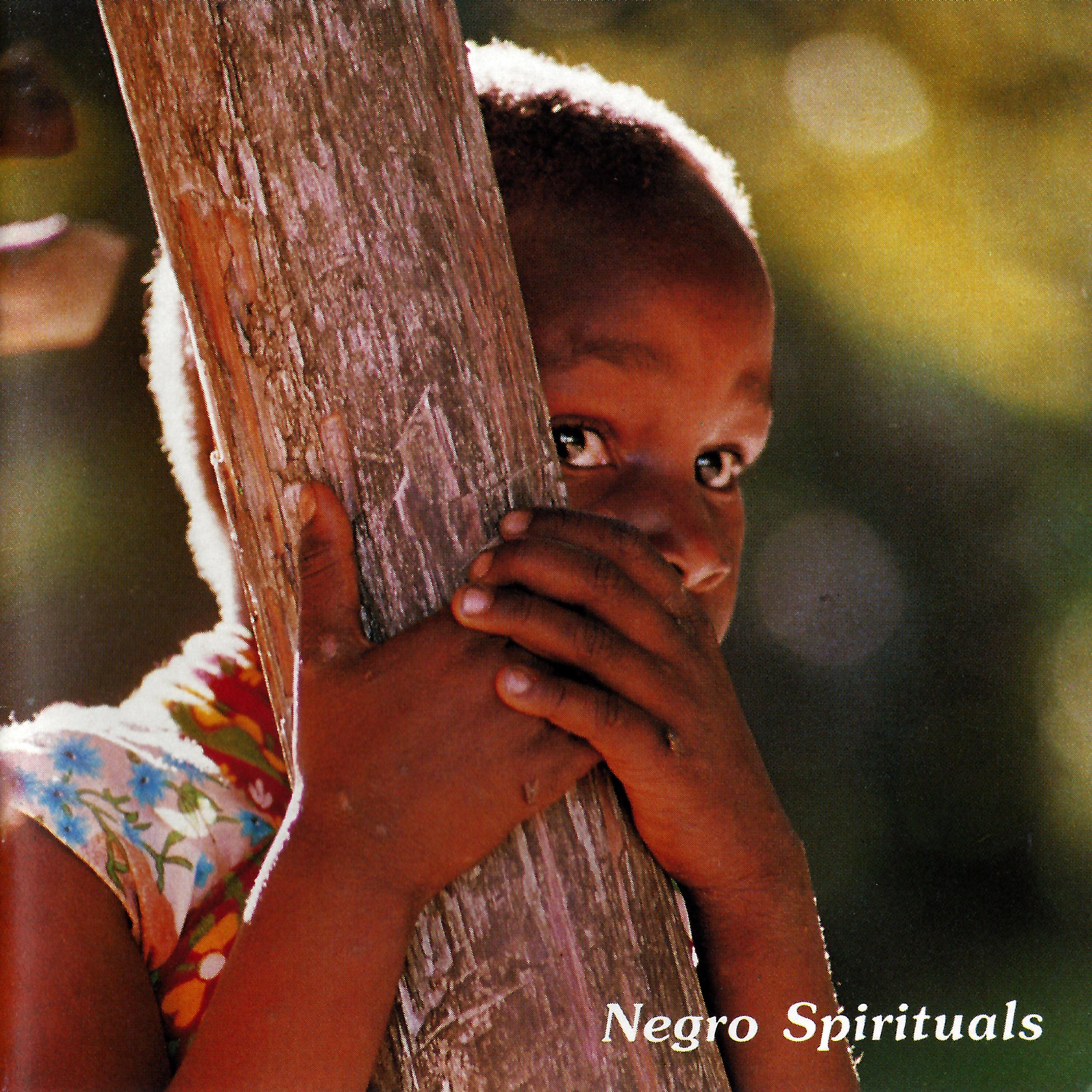 Постер альбома The Best of Negro Spirituals & Gospel Songs