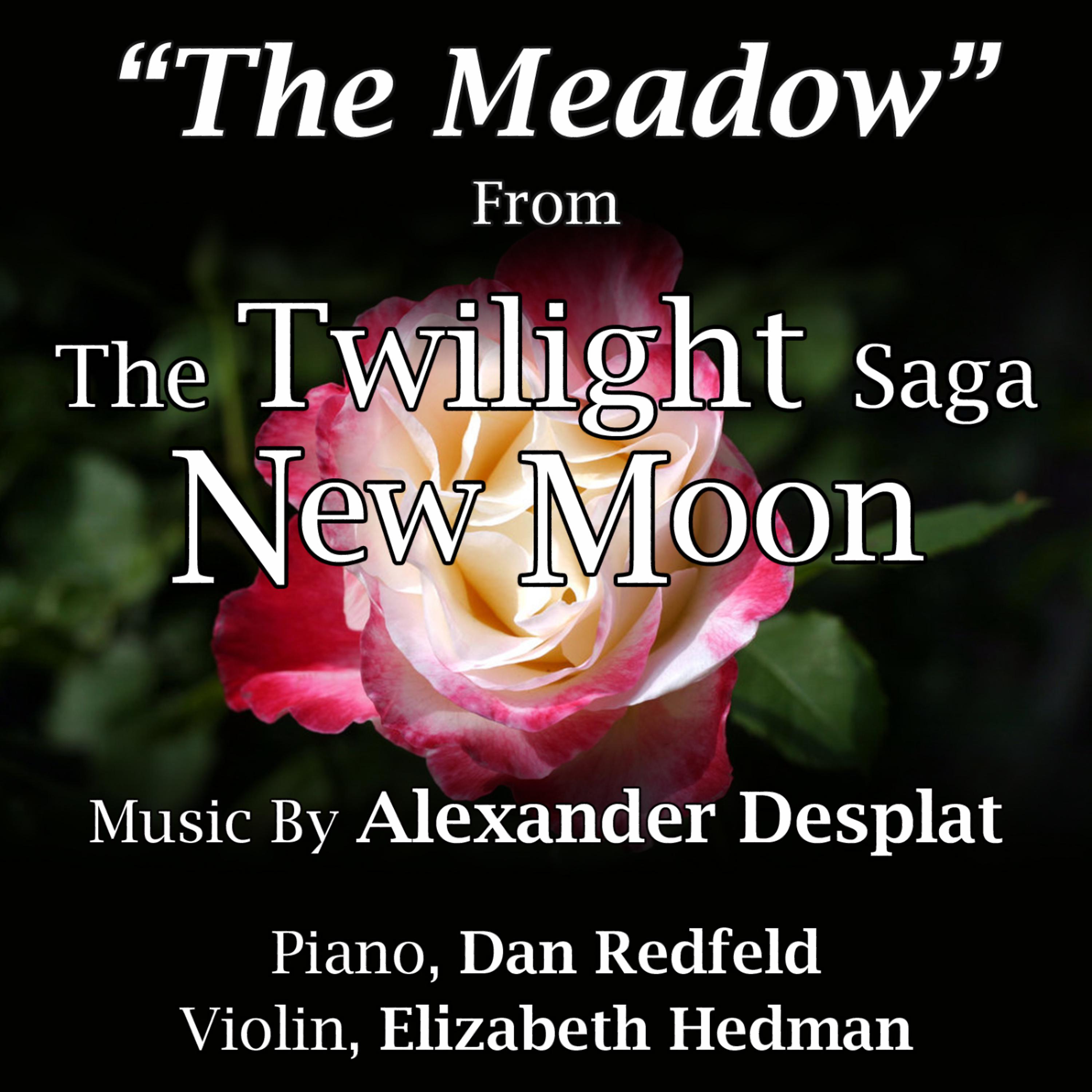 Постер альбома The Meadow - From ''The Twilight Saga: New Moon'' for Piano and Violin (Alexandre Desplat) (Single)