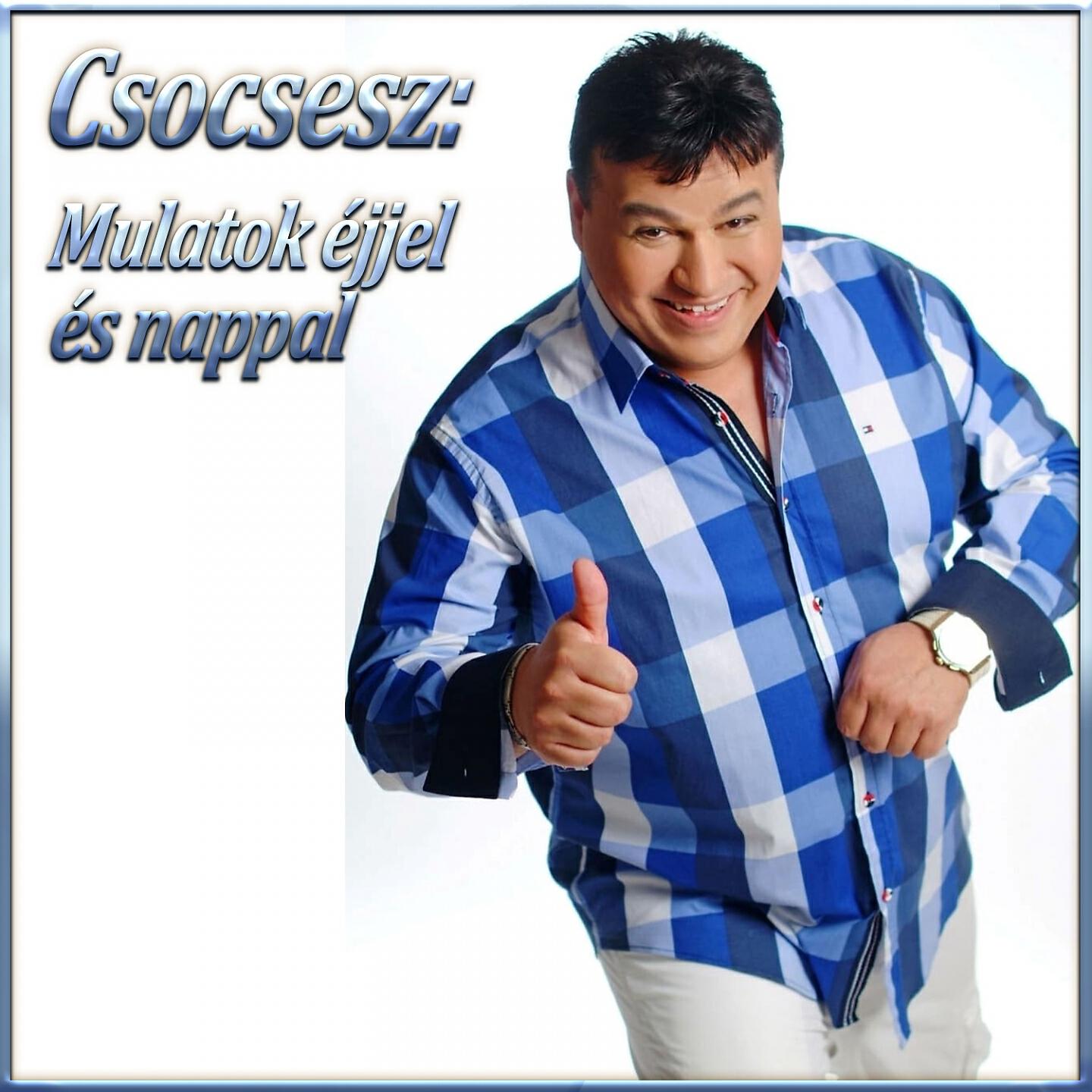 Csocsesz - Mulatok éjjel és nappal
