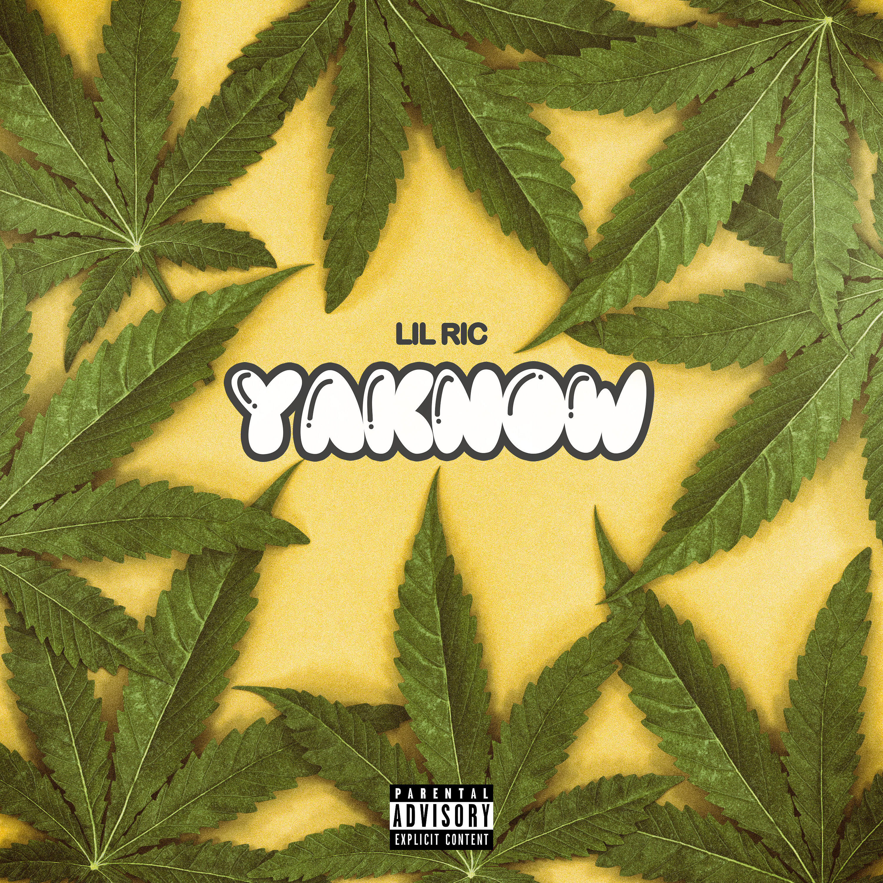 Lil Ric - YaKnow