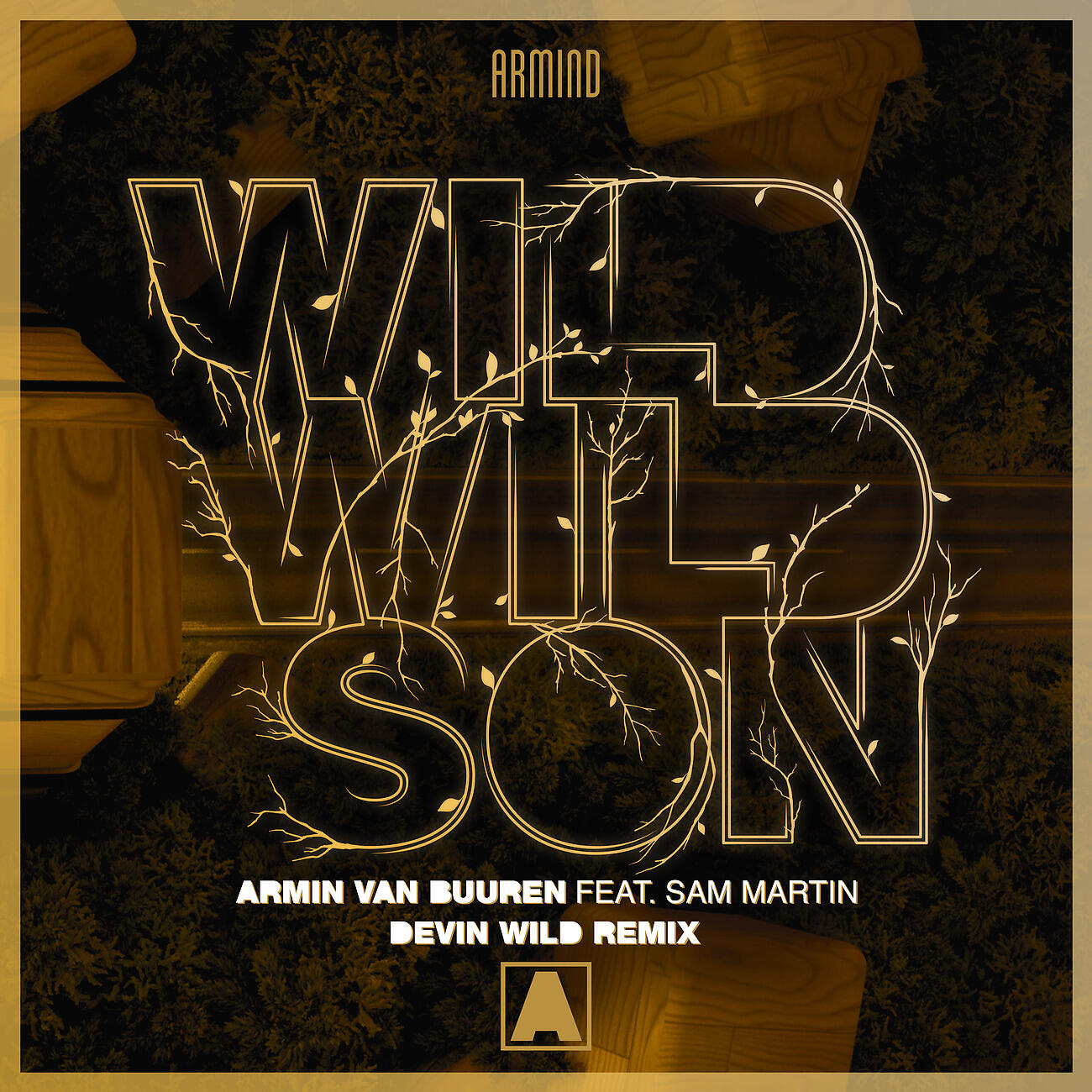 Armin Van Buuren - Wild Wild Son (Devin Wild Remix)