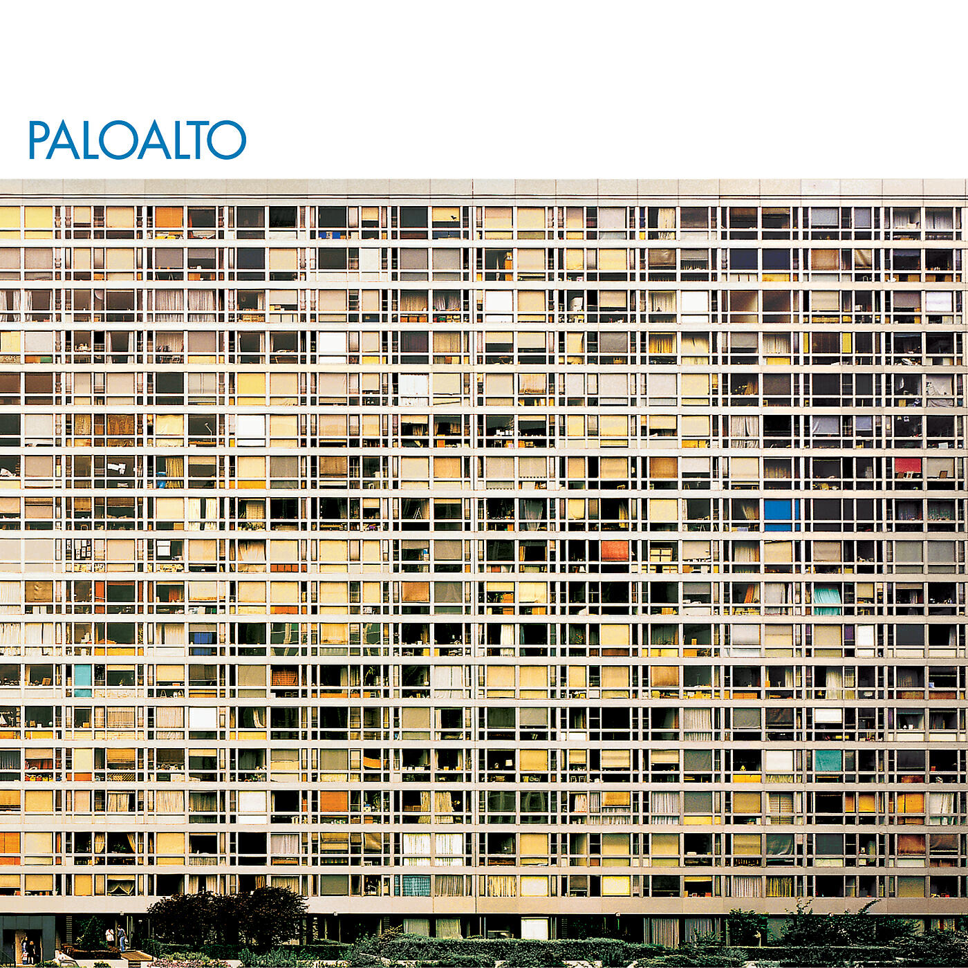 Paloalto - Sonny