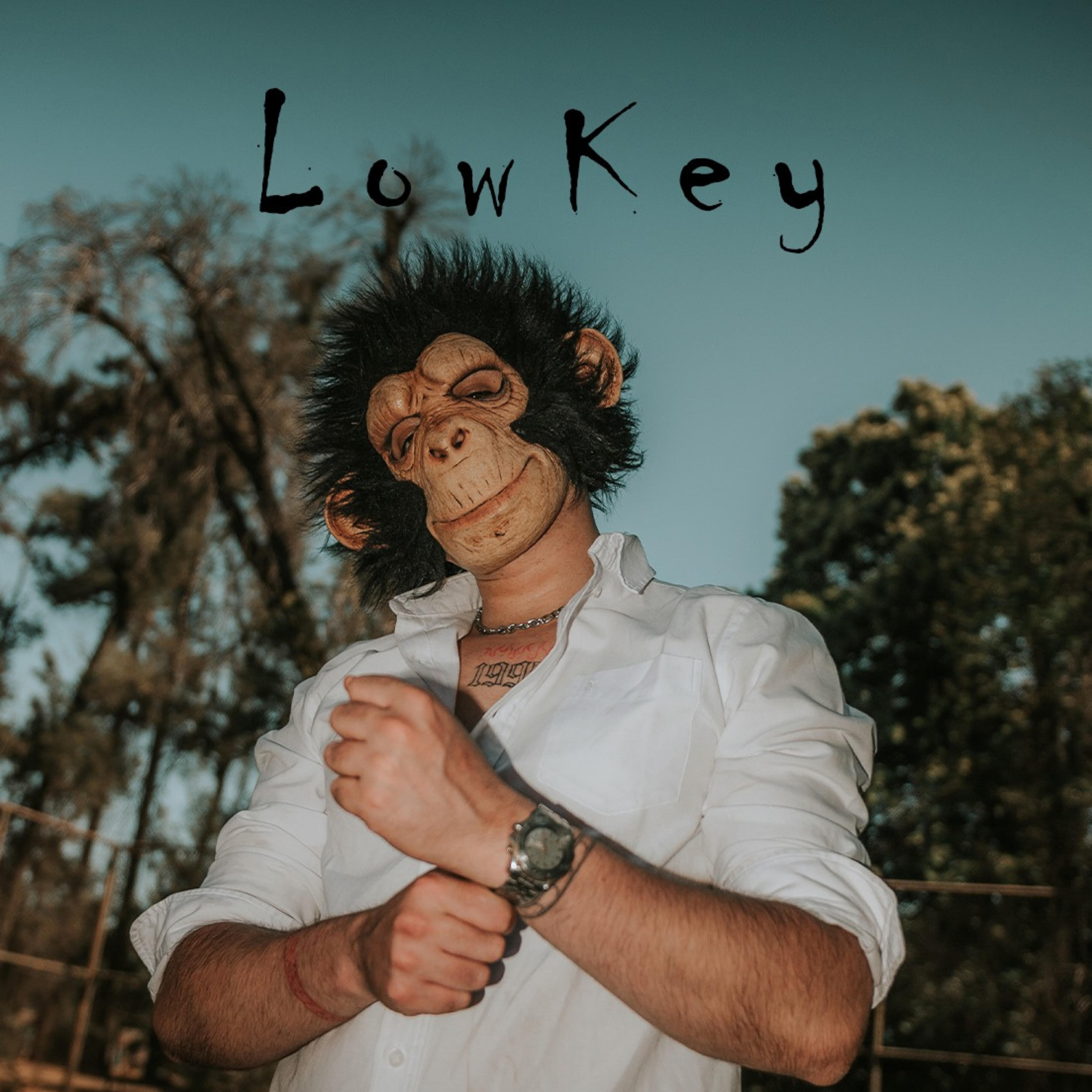 Lil Clemz - LowKey