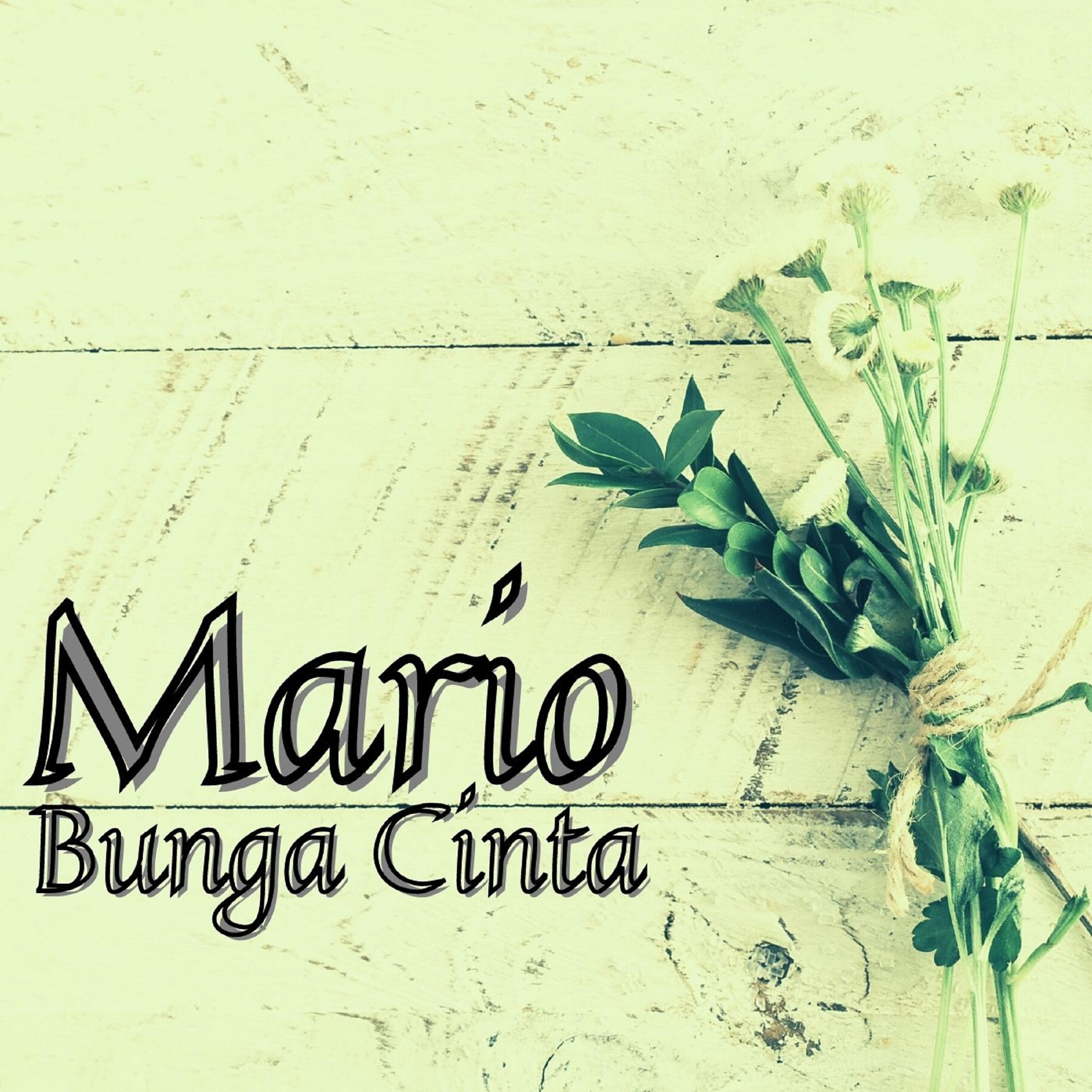 Mario - Jakarta Hongkong