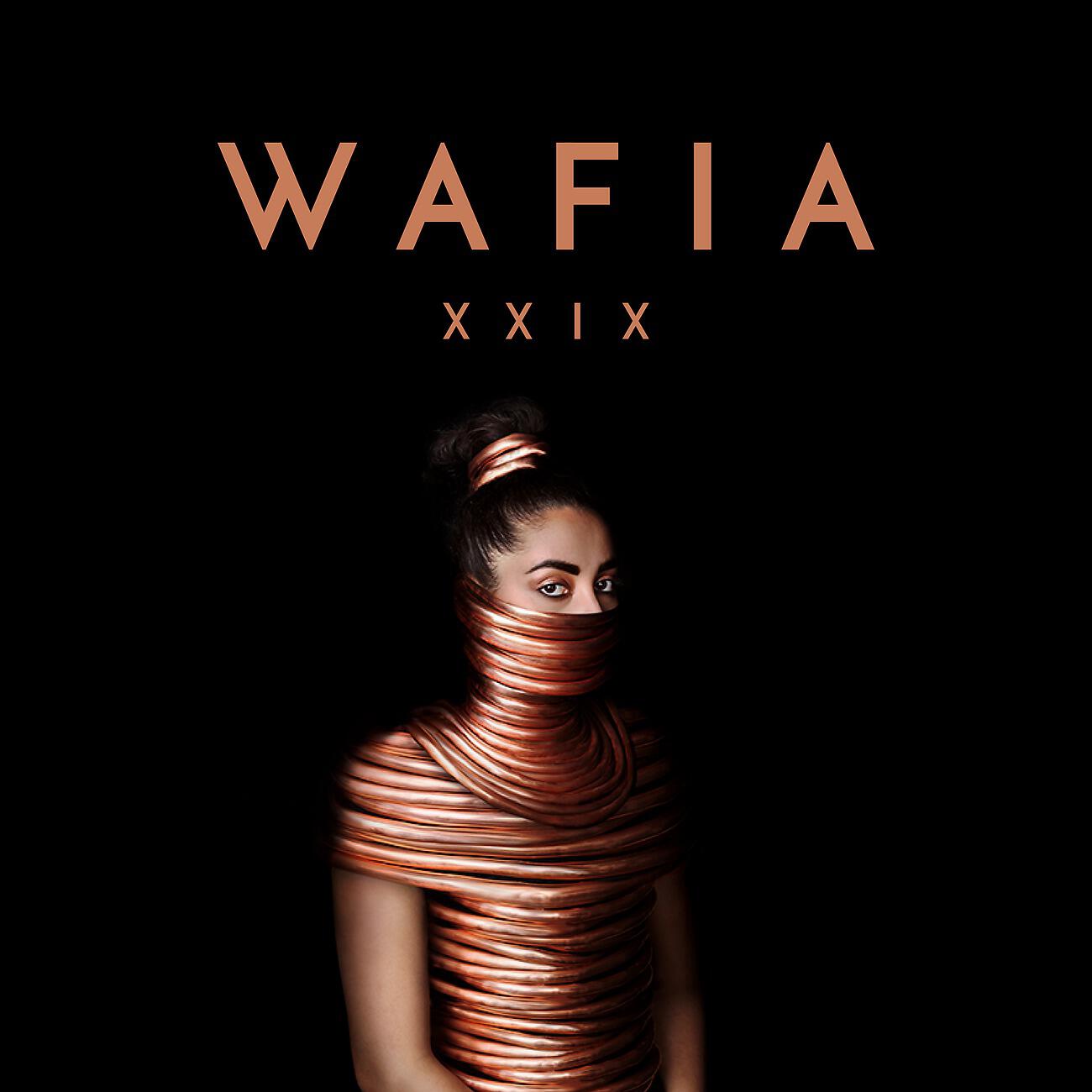 Wafia - Fading Through