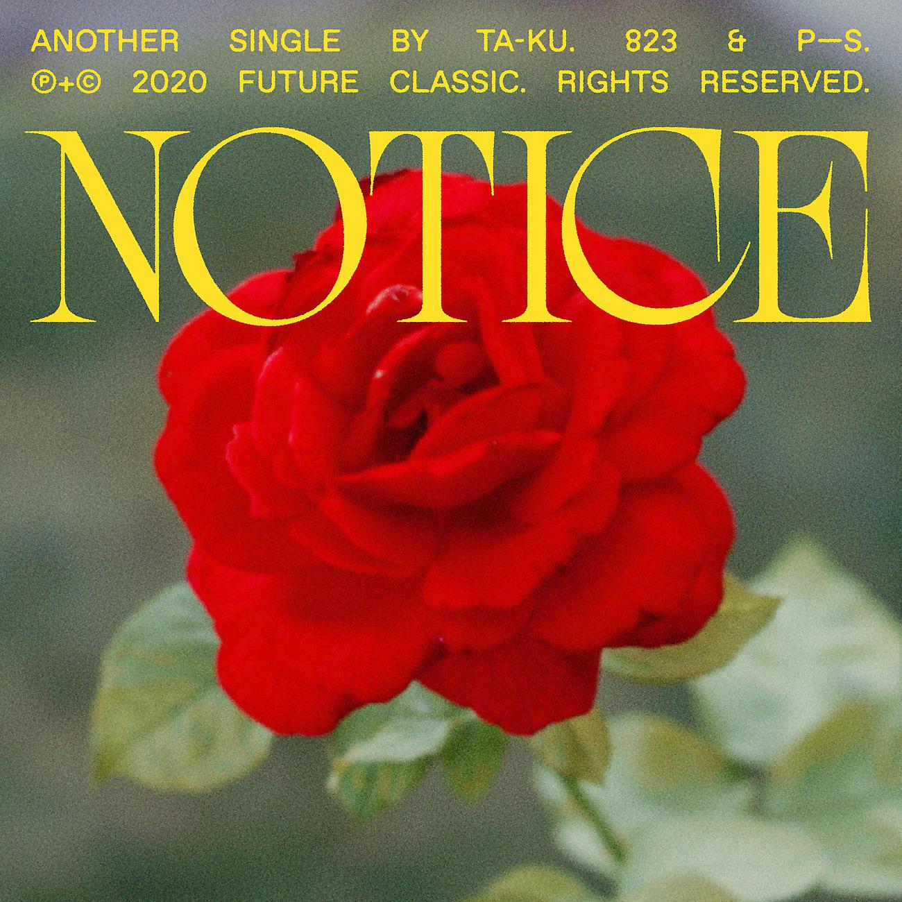 Постер альбома Notice