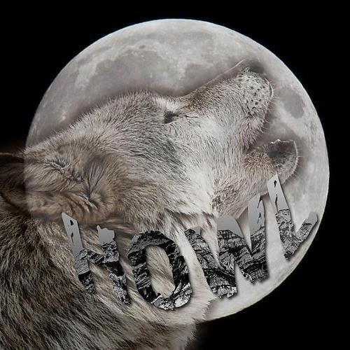 Modern Beat Orchestra - Howl (Hunter Slay Remix)