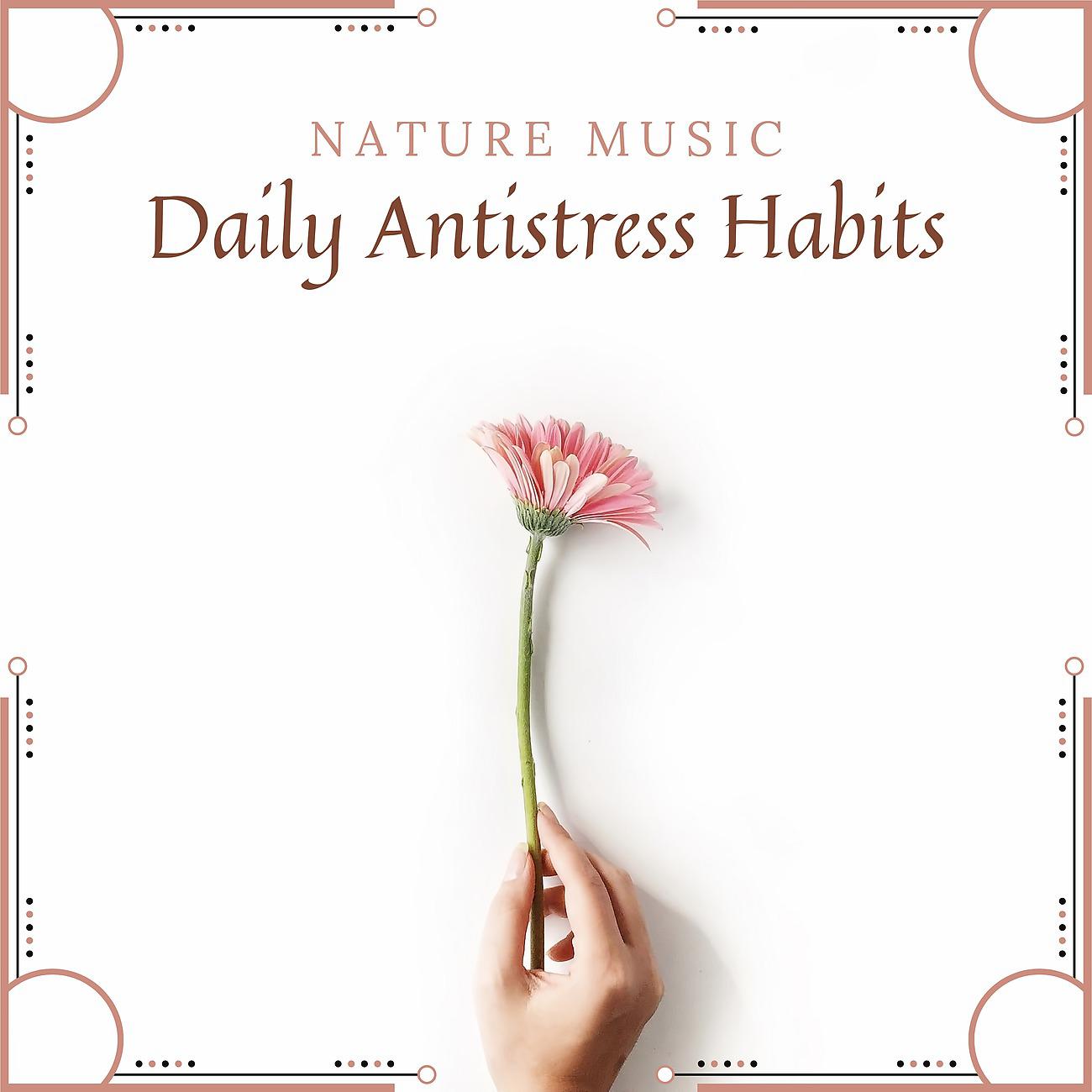 Постер альбома Daily Antistress Habits