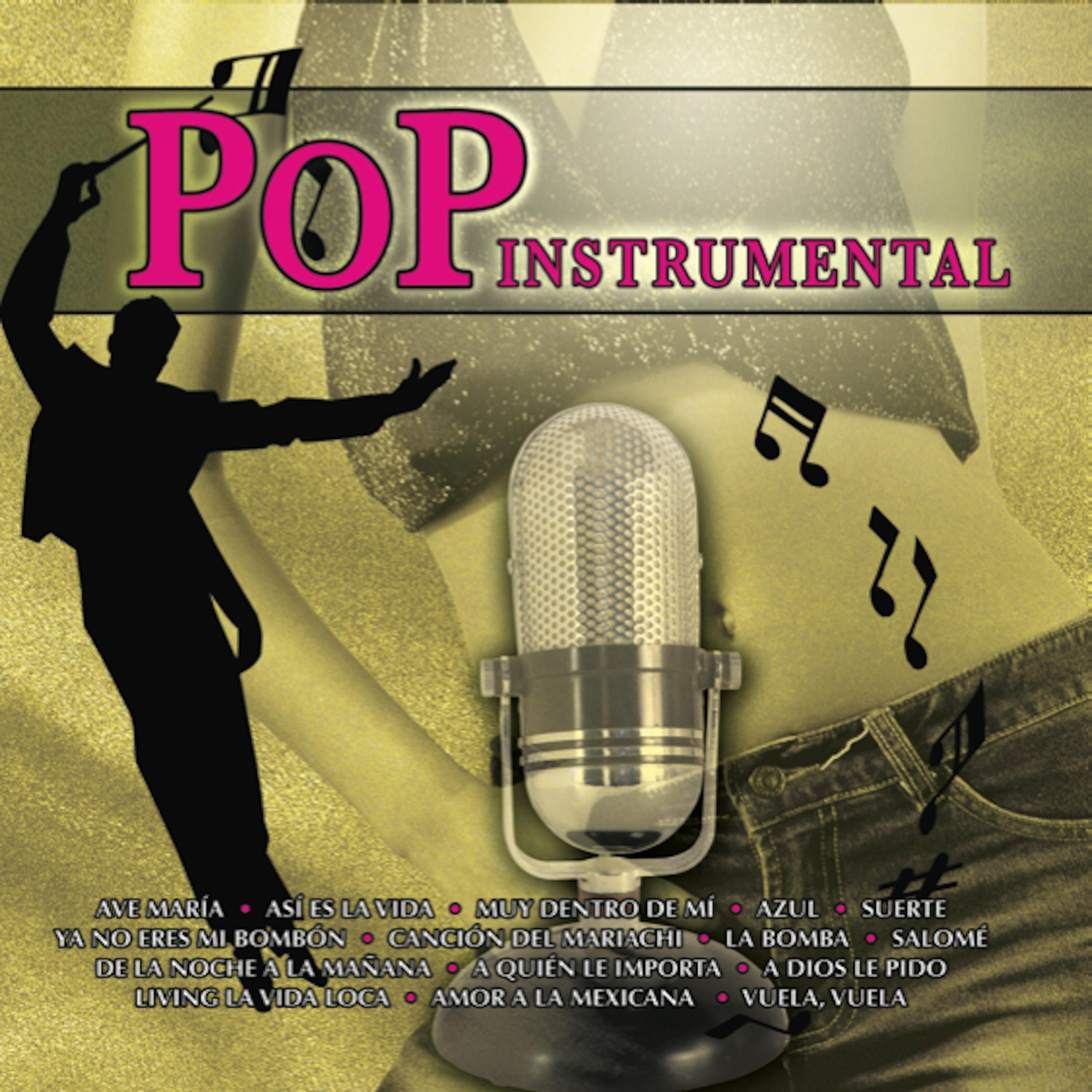 Постер альбома Pop Instrumental