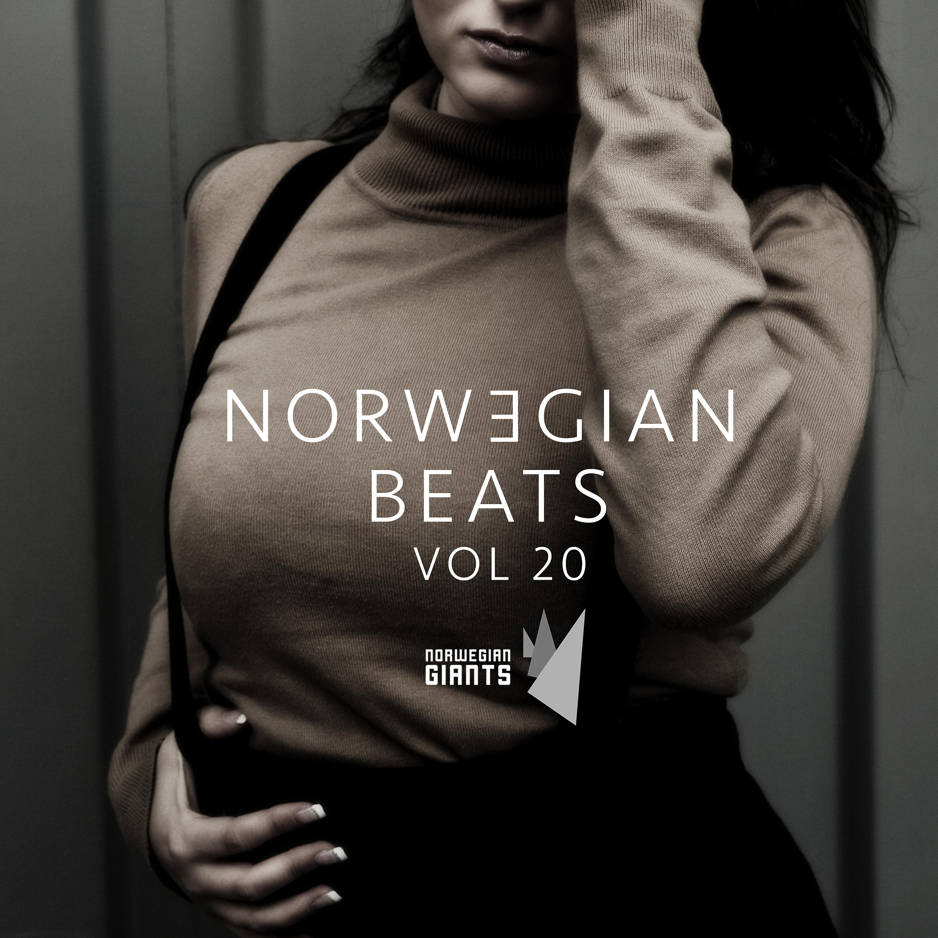 Постер альбома Norwegian Beats, Vol. 20